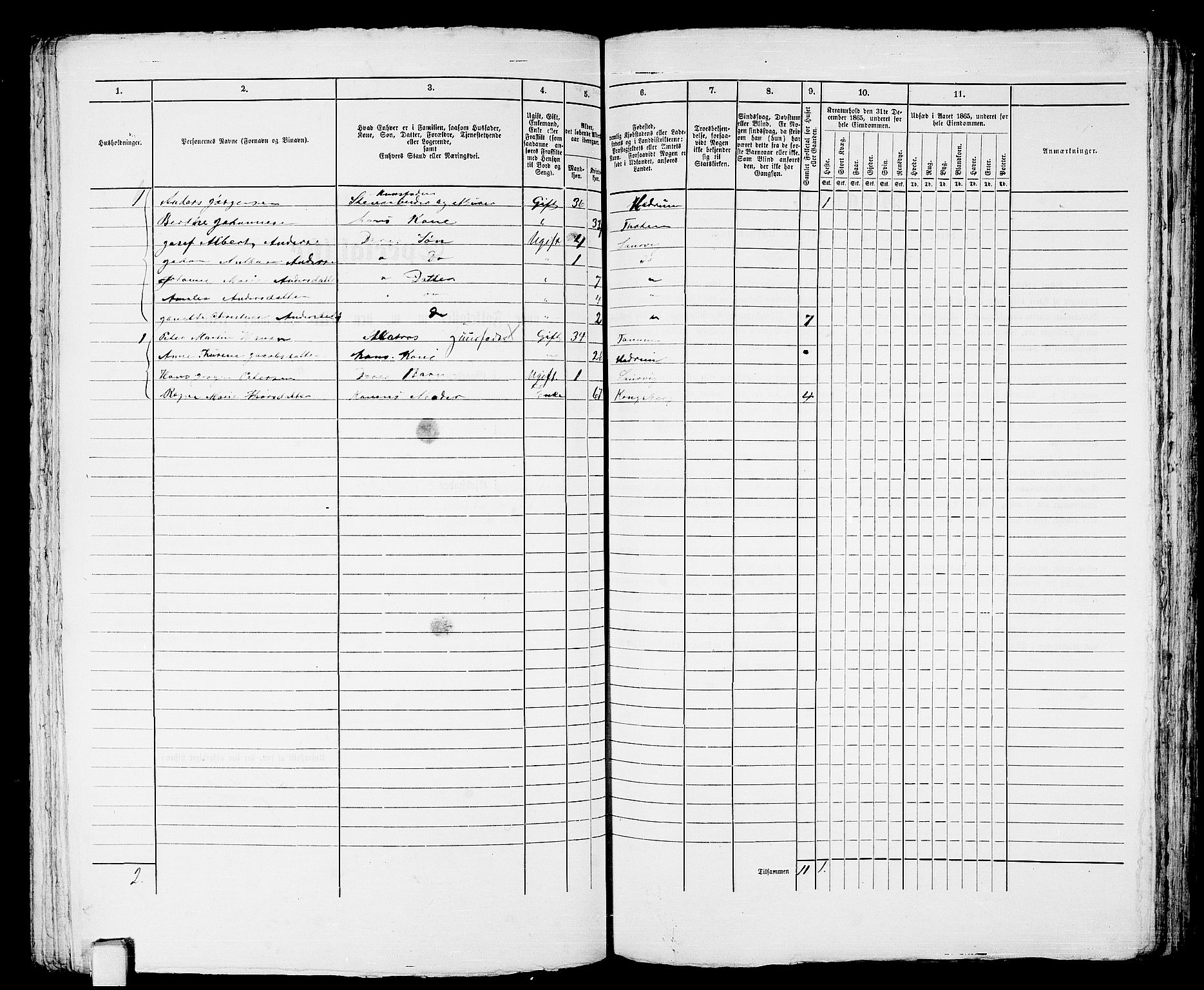 RA, 1865 census for Larvik, 1865, p. 296