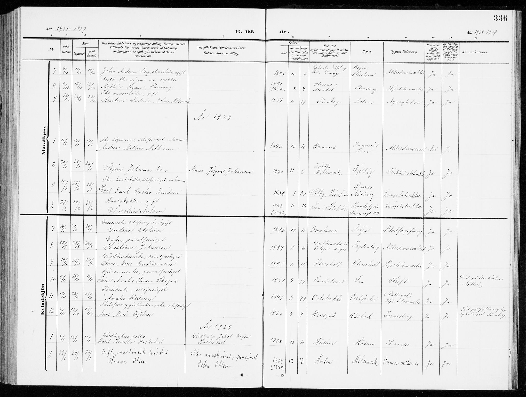 Stokke kirkebøker, SAKO/A-320/G/Ga/L0001: Parish register (copy) no. I 1, 1904-1940, p. 336