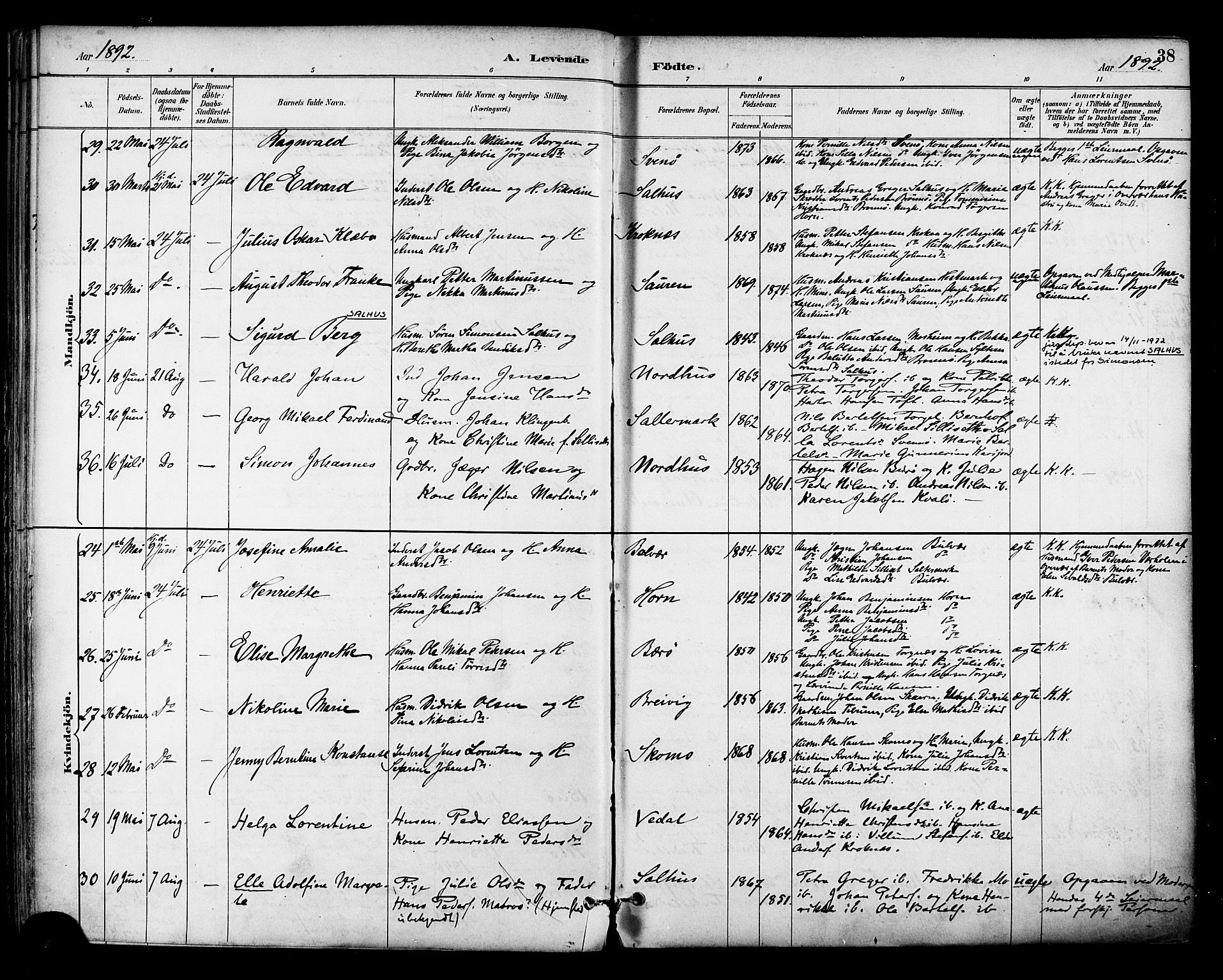Ministerialprotokoller, klokkerbøker og fødselsregistre - Nordland, SAT/A-1459/813/L0200: Parish register (official) no. 813A10, 1886-1900, p. 38