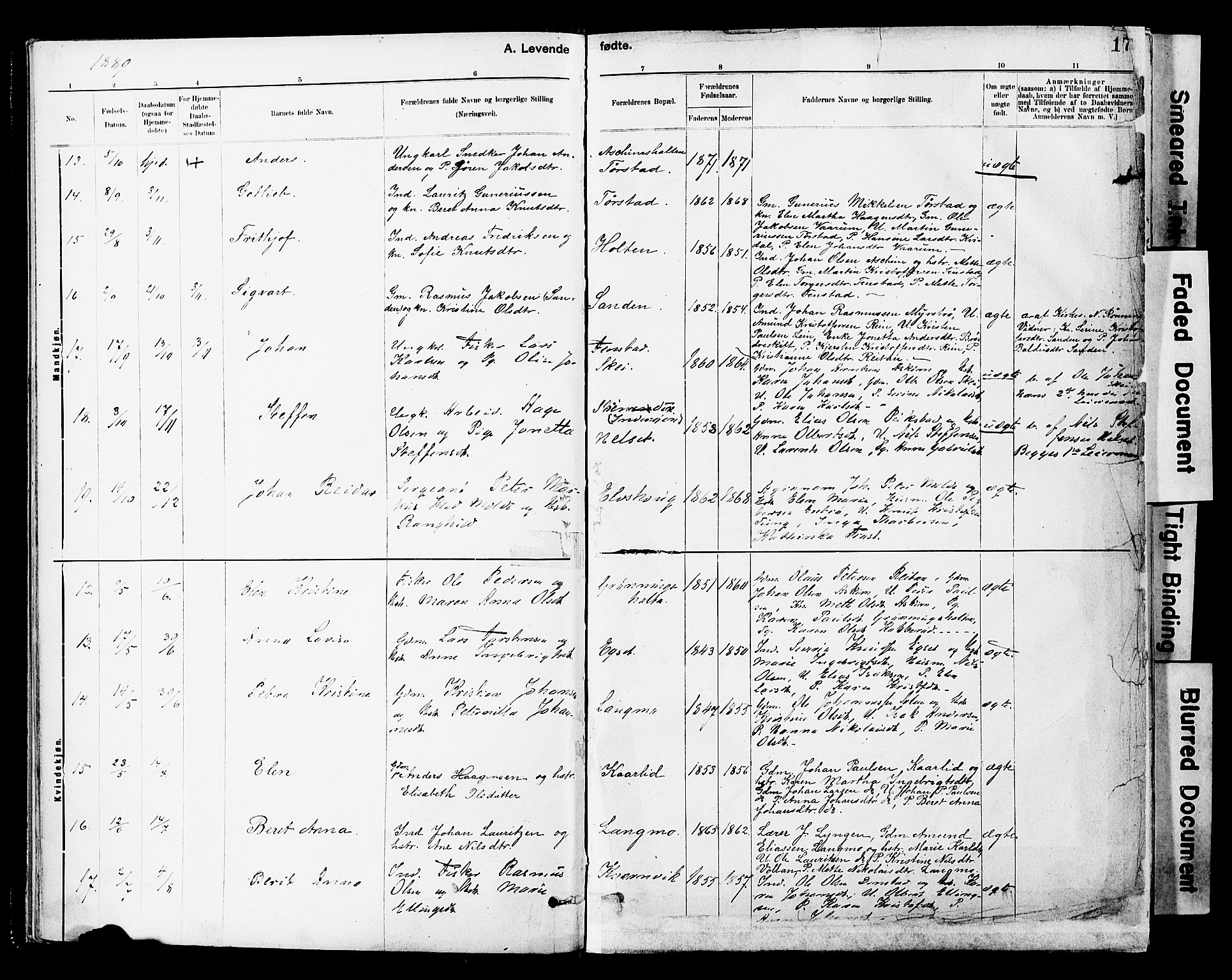 Ministerialprotokoller, klokkerbøker og fødselsregistre - Sør-Trøndelag, SAT/A-1456/646/L0615: Parish register (official) no. 646A13, 1885-1900, p. 17