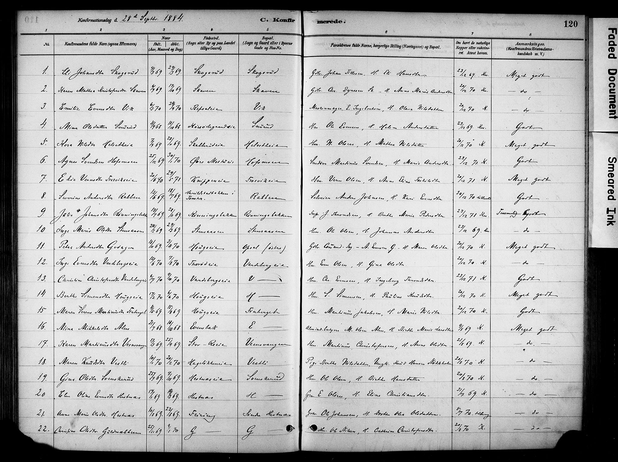 Stange prestekontor, AV/SAH-PREST-002/K/L0018: Parish register (official) no. 18, 1880-1896, p. 120