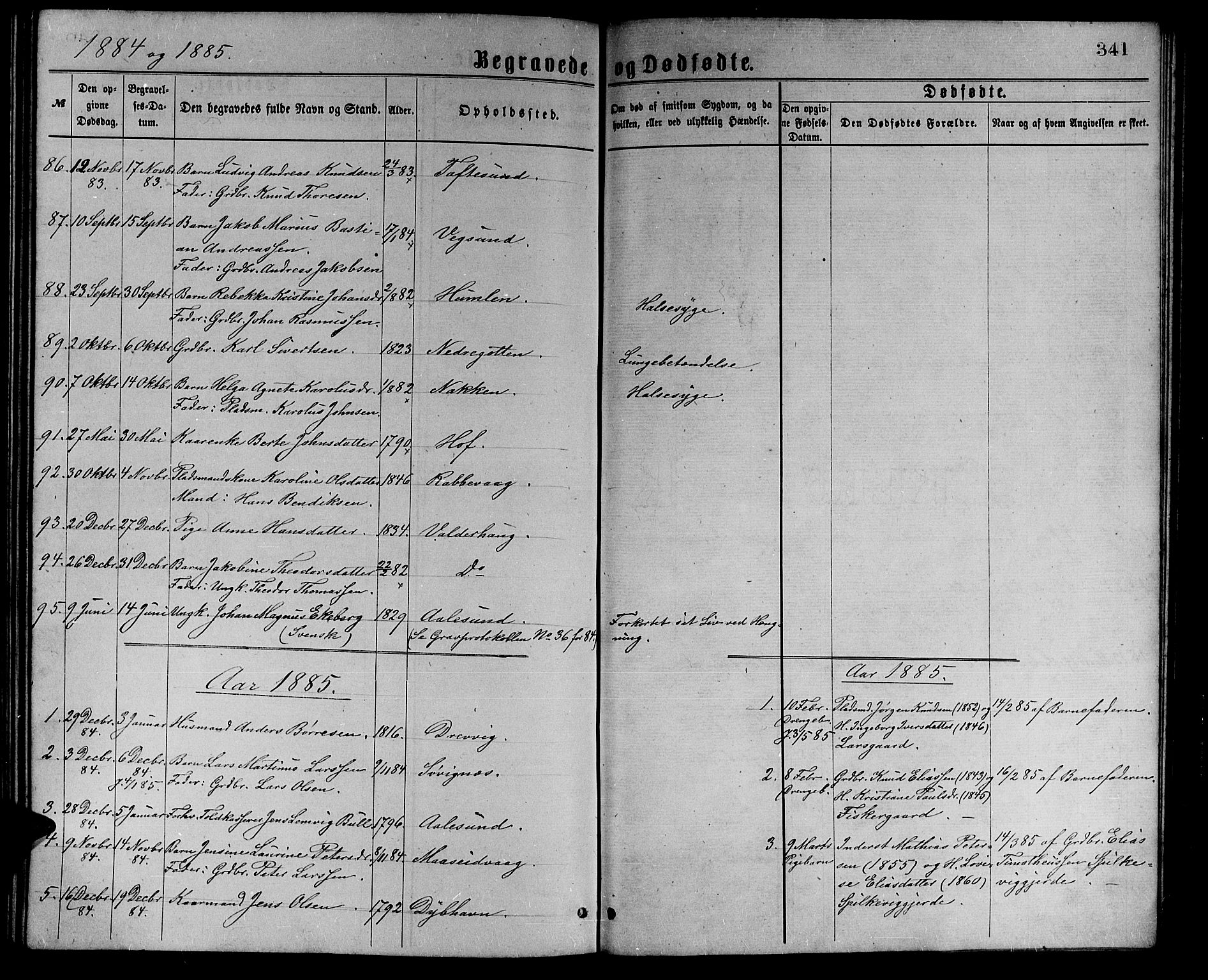 Ministerialprotokoller, klokkerbøker og fødselsregistre - Møre og Romsdal, AV/SAT-A-1454/528/L0429: Parish register (copy) no. 528C10, 1872-1886, p. 341