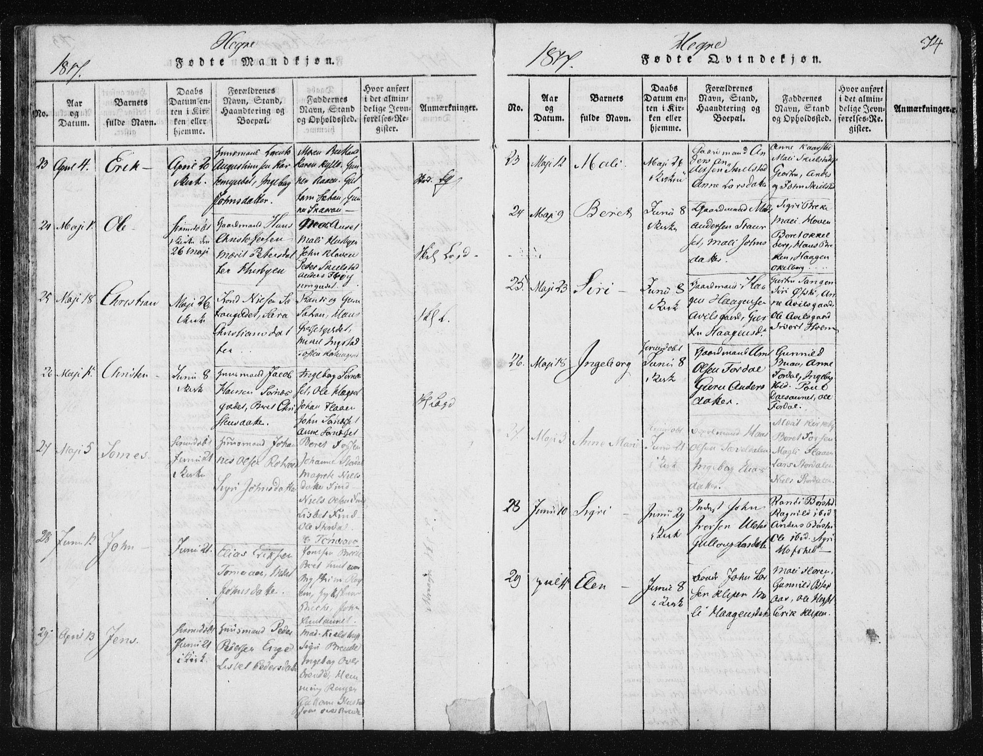 Ministerialprotokoller, klokkerbøker og fødselsregistre - Nord-Trøndelag, AV/SAT-A-1458/709/L0061: Parish register (official) no. 709A08 /4, 1815-1819, p. 74