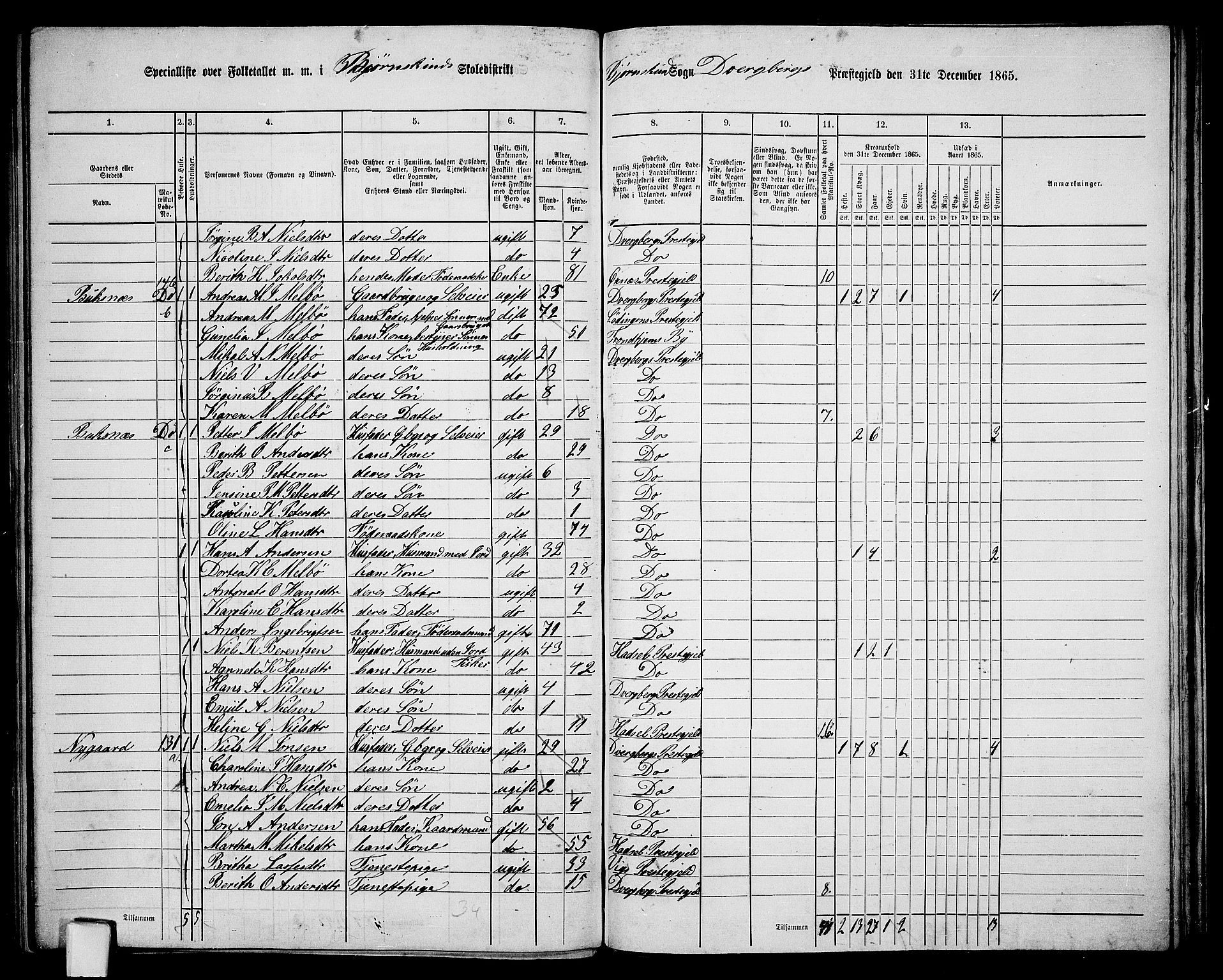 RA, 1865 census for Dverberg, 1865, p. 48