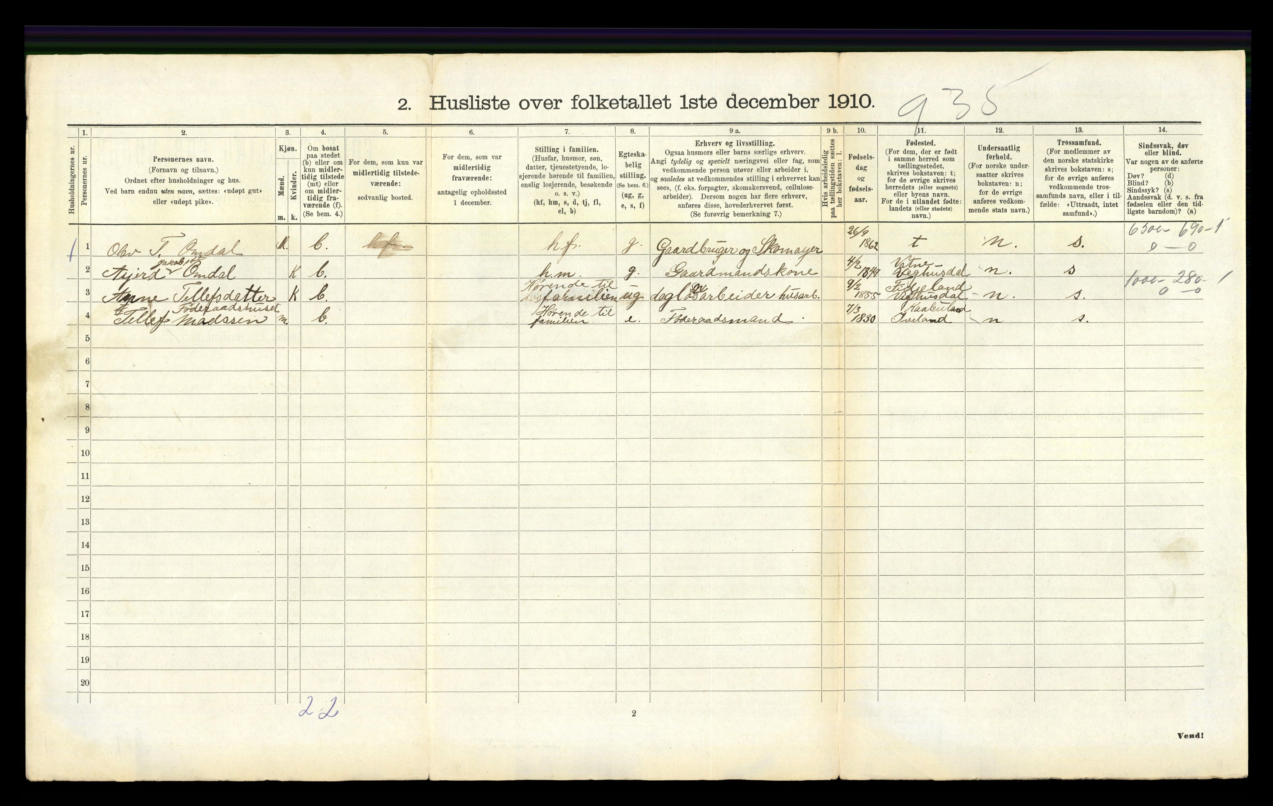 RA, 1910 census for Iveland, 1910, p. 308