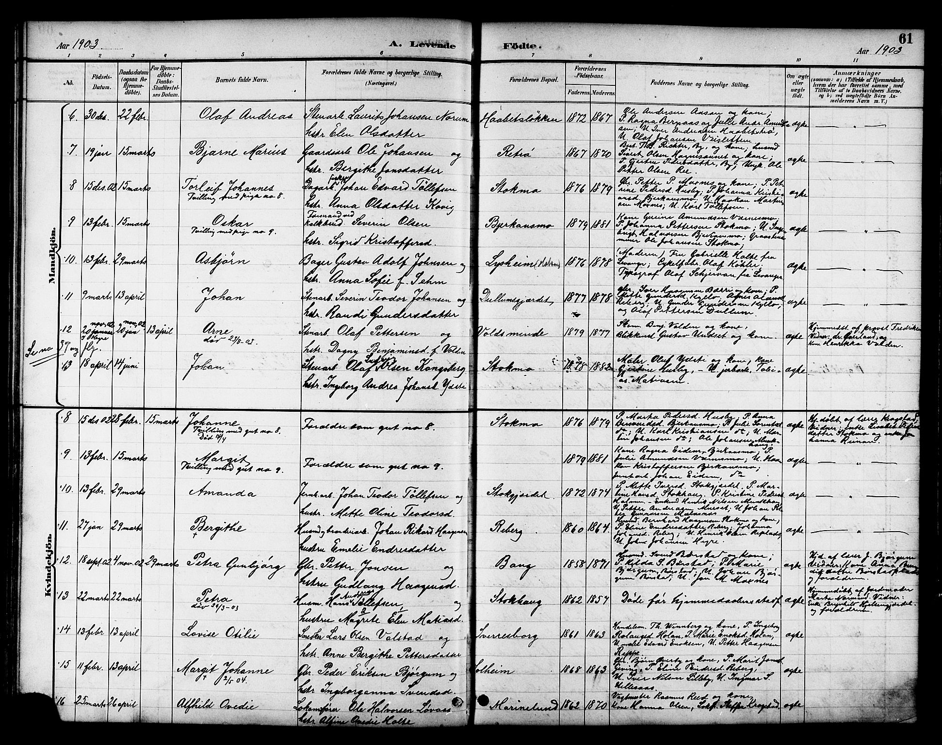 Ministerialprotokoller, klokkerbøker og fødselsregistre - Nord-Trøndelag, AV/SAT-A-1458/709/L0087: Parish register (copy) no. 709C01, 1892-1913, p. 61