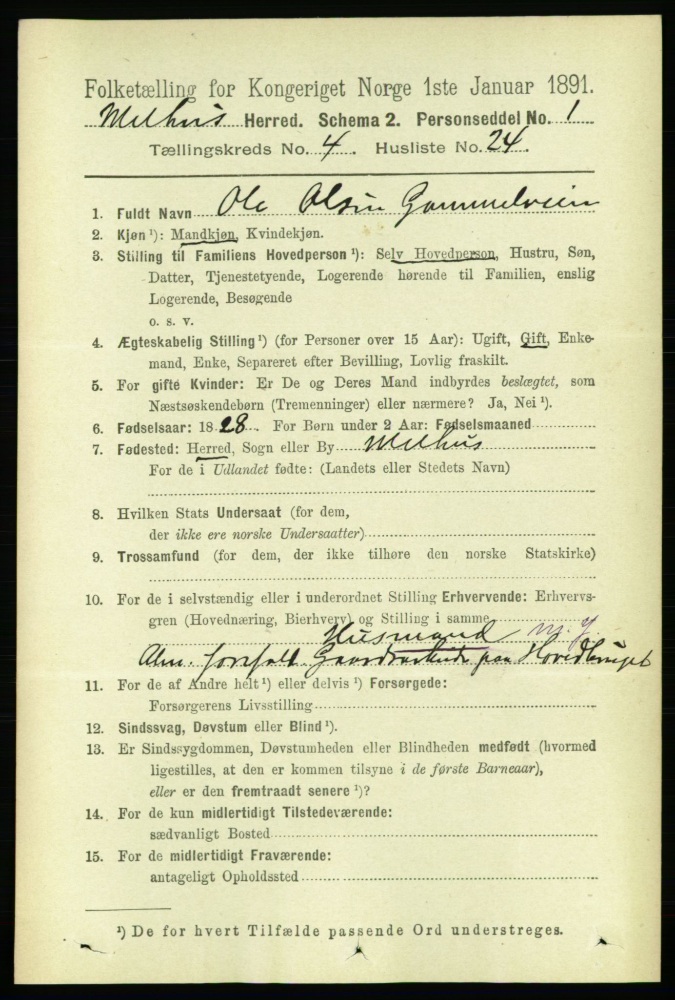RA, 1891 census for 1653 Melhus, 1891, p. 2081