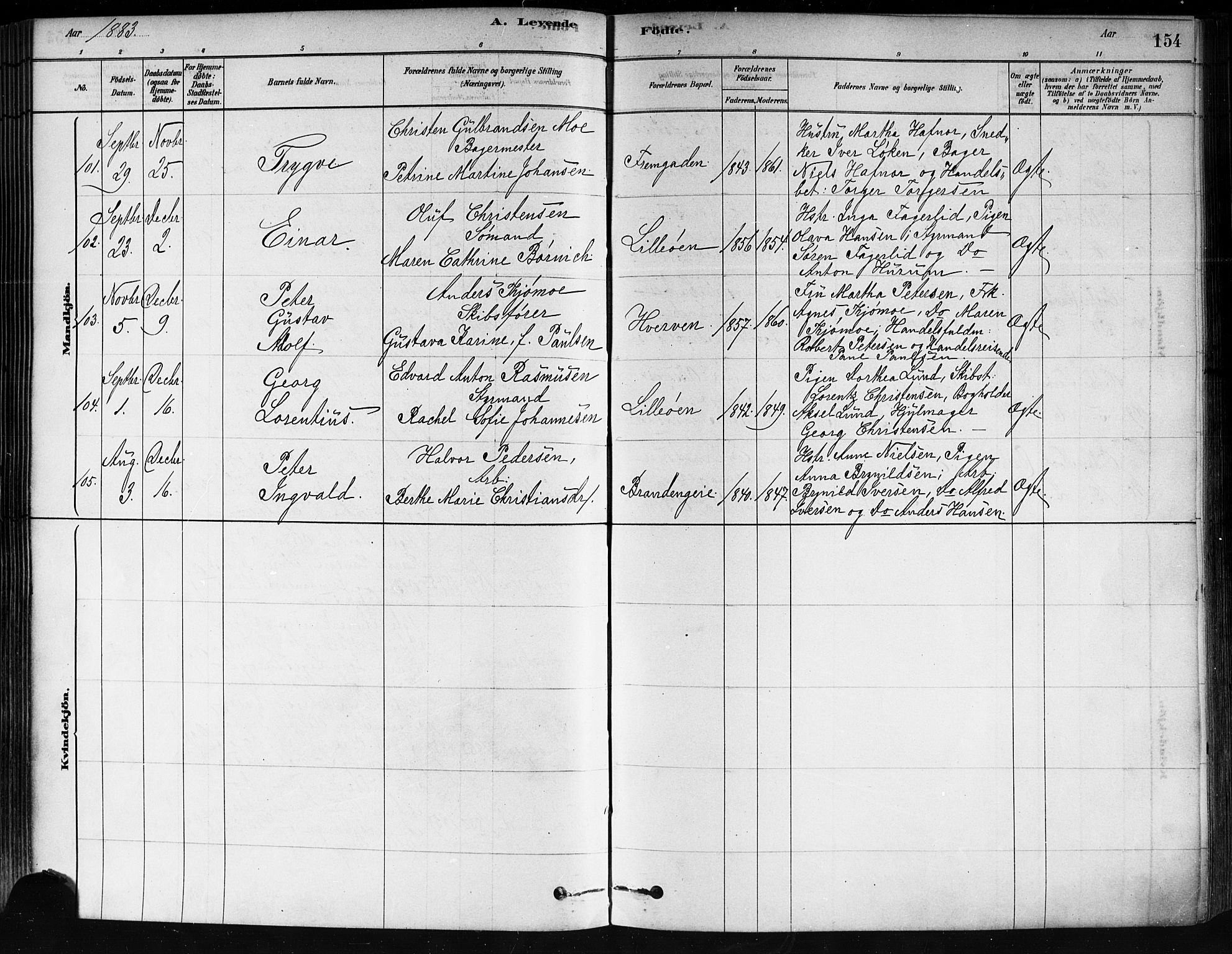 Strømsø kirkebøker, AV/SAKO-A-246/F/Fa/L0021: Parish register (official) no. I 21, 1878-1885, p. 154