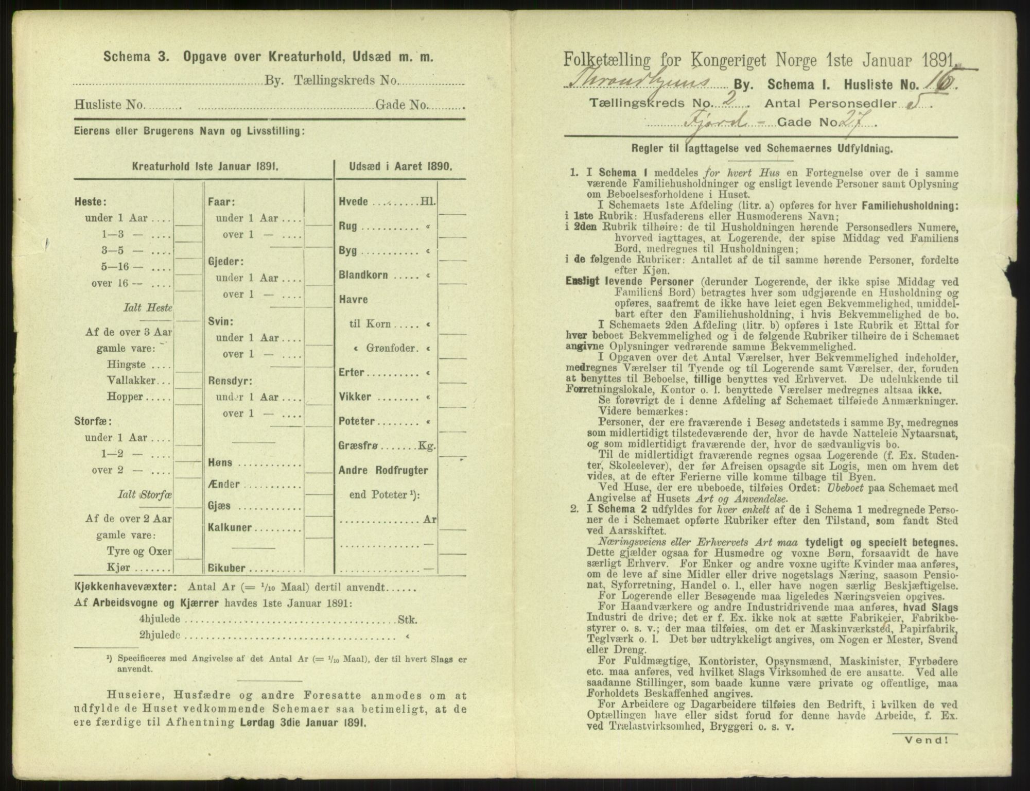 RA, 1891 census for 1601 Trondheim, 1891, p. 266