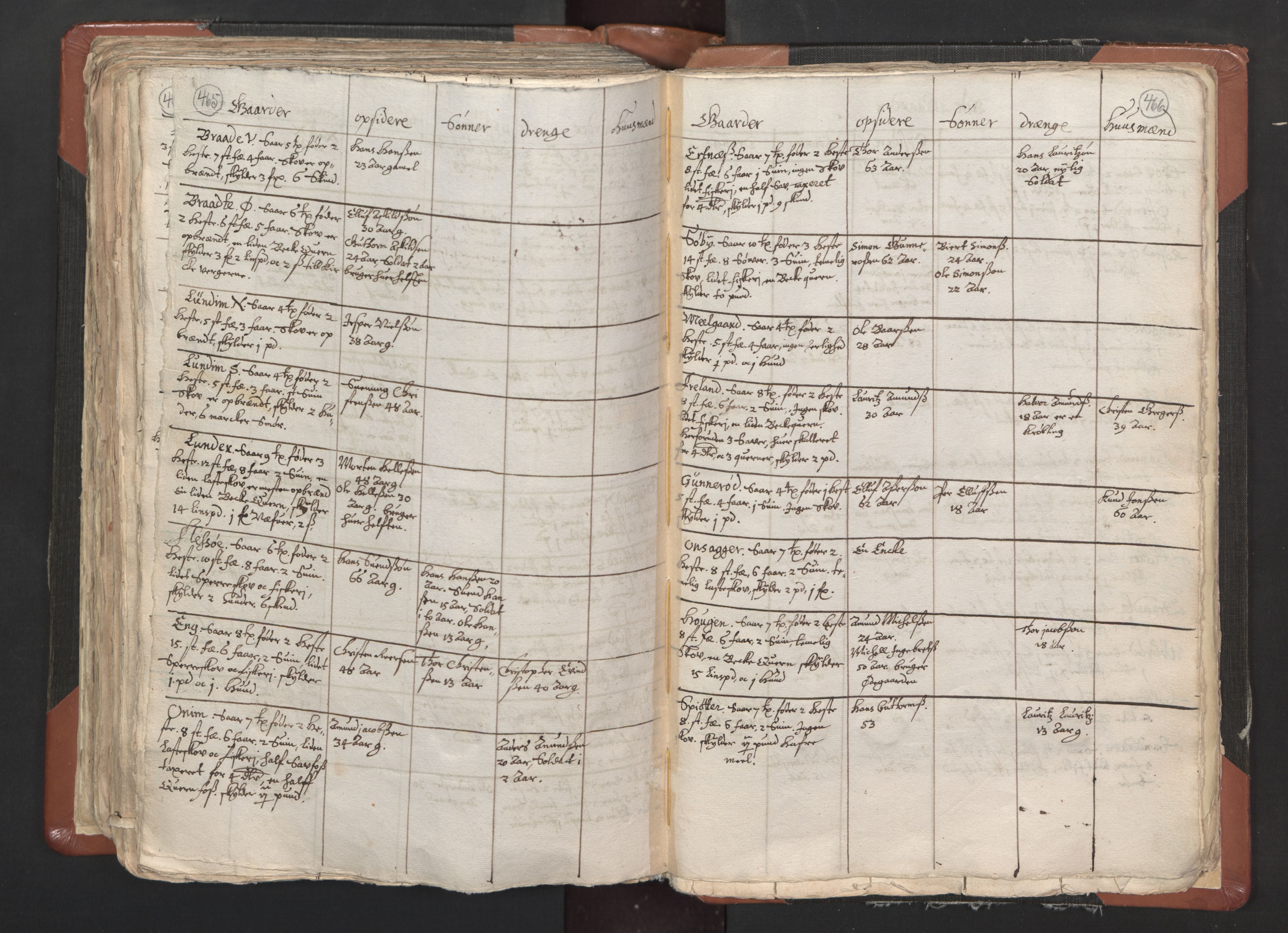 RA, Vicar's Census 1664-1666, no. 1: Nedre Borgesyssel deanery, 1664-1666, p. 465-466