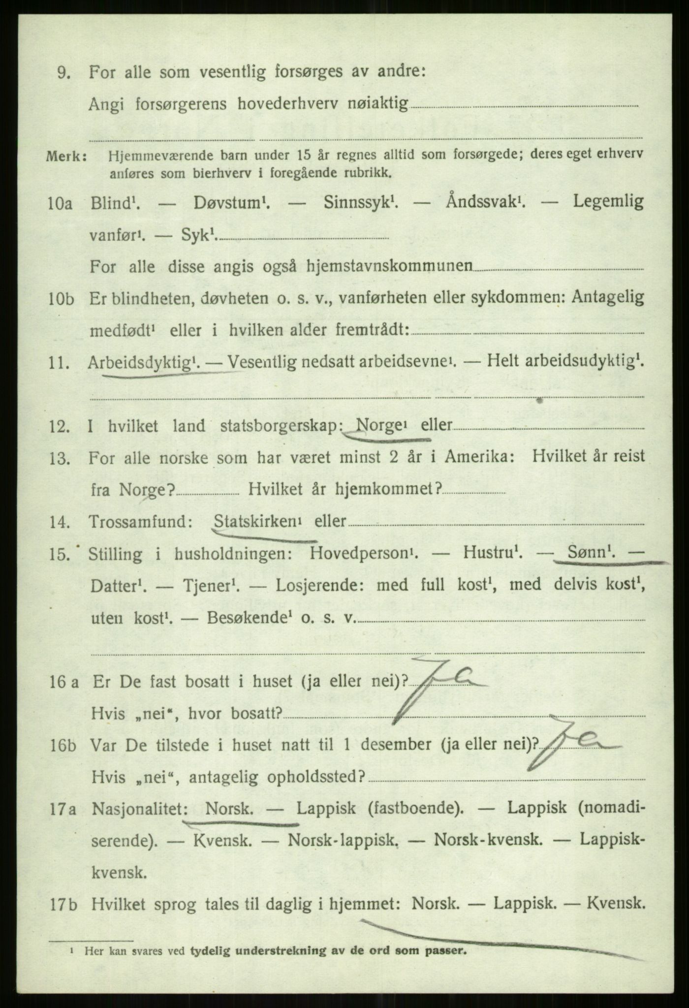SATØ, 1920 census for Tromsøysund, 1920, p. 13847