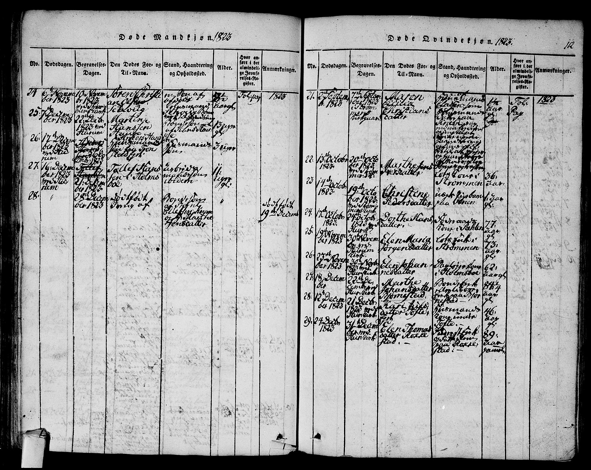 Hurum kirkebøker, SAKO/A-229/F/Fa/L0009: Parish register (official) no. 9, 1816-1826, p. 112