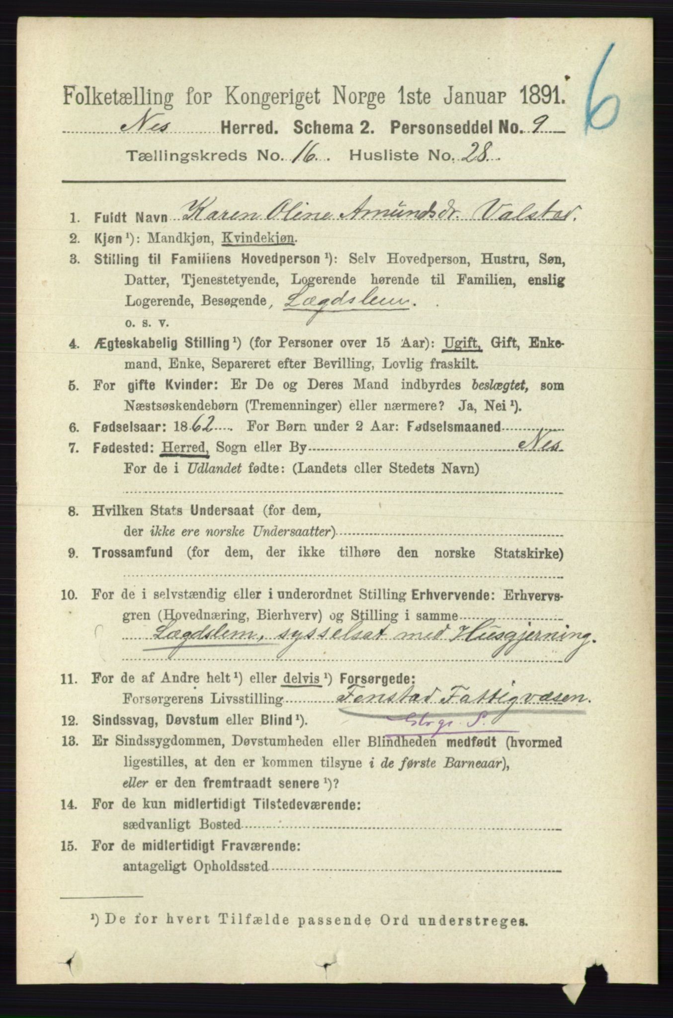 RA, 1891 census for 0236 Nes, 1891, p. 9729