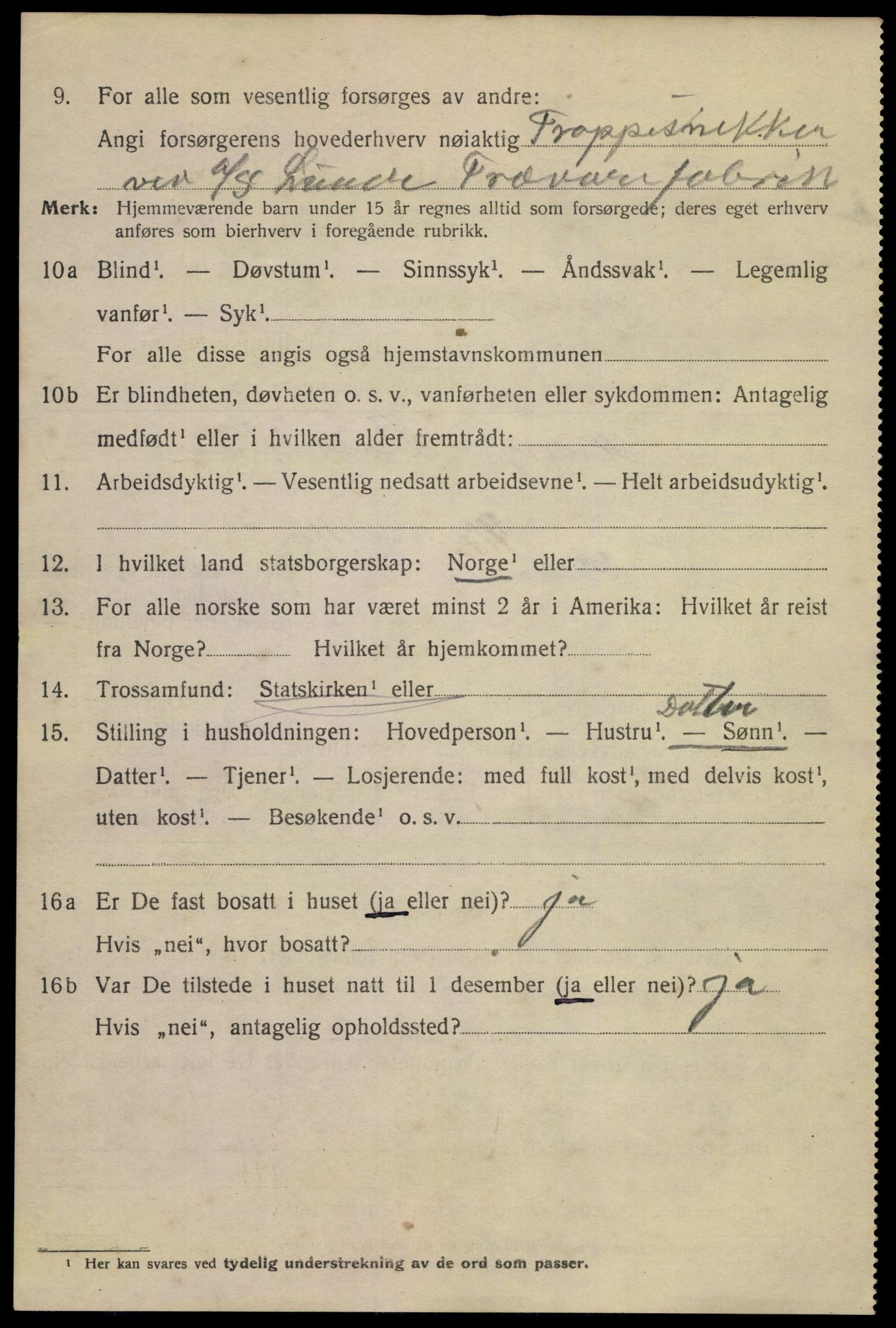 SAKO, 1920 census for Skien, 1920, p. 15177