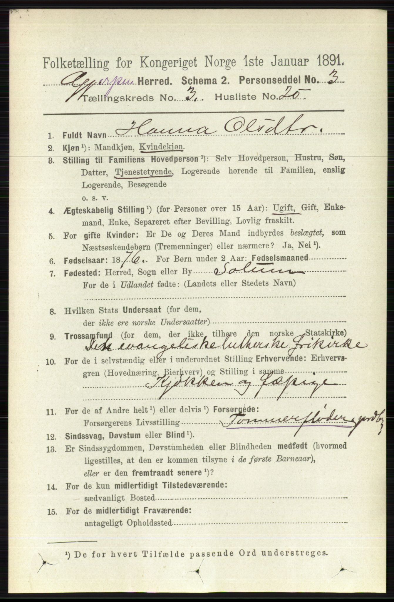 RA, 1891 census for 0812 Gjerpen, 1891, p. 1618