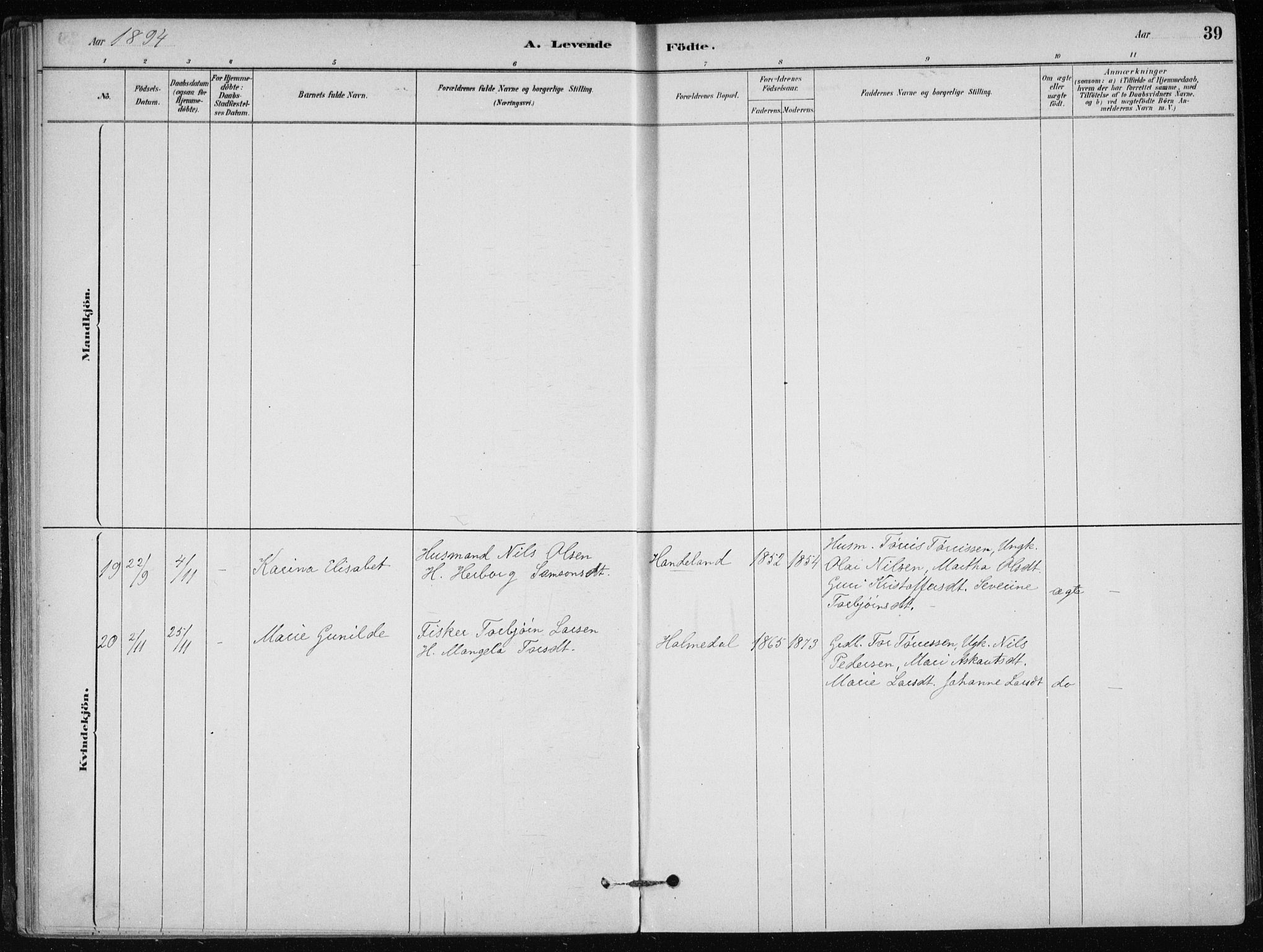 Skånevik sokneprestembete, AV/SAB-A-77801/H/Haa: Parish register (official) no. C  1, 1879-1917, p. 39