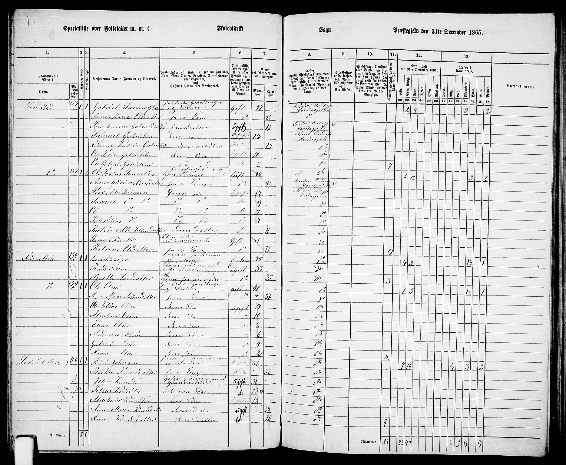 RA, 1865 census for Nord-Audnedal, 1865, p. 51