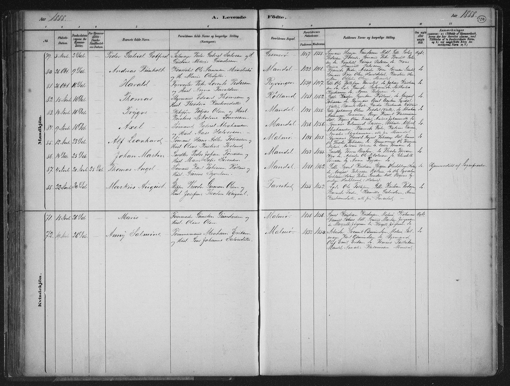 Mandal sokneprestkontor, AV/SAK-1111-0030/F/Fb/Fba/L0011: Parish register (copy) no. B 5, 1880-1898, p. 100