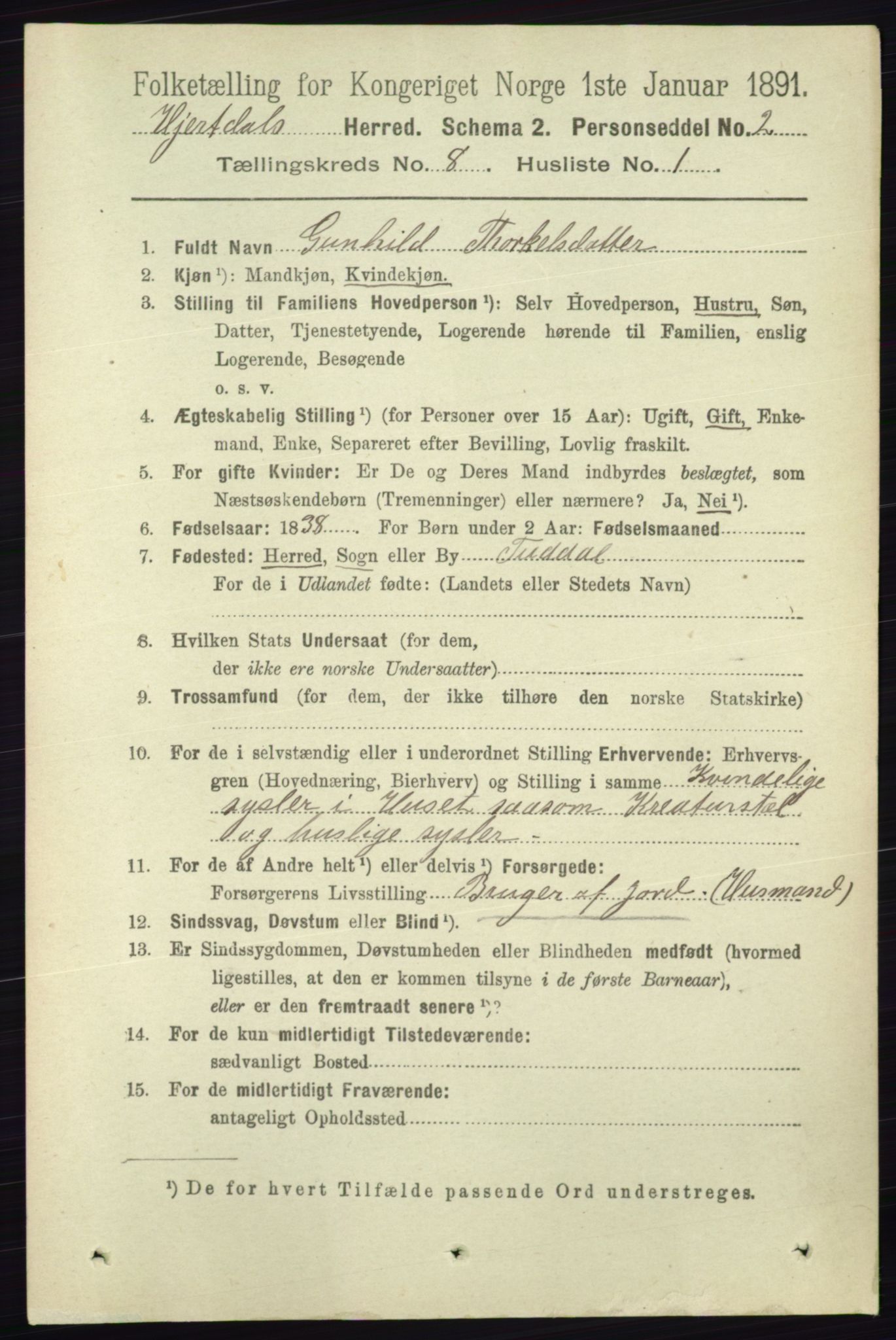 RA, 1891 census for 0827 Hjartdal, 1891, p. 2808