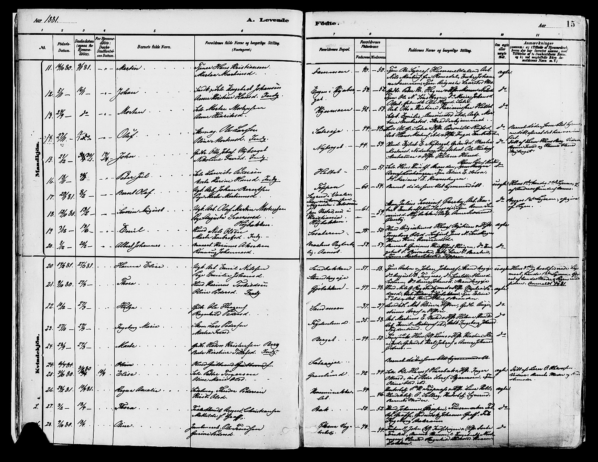 Elverum prestekontor, AV/SAH-PREST-044/H/Ha/Haa/L0013: Parish register (official) no. 13, 1880-1890, p. 15