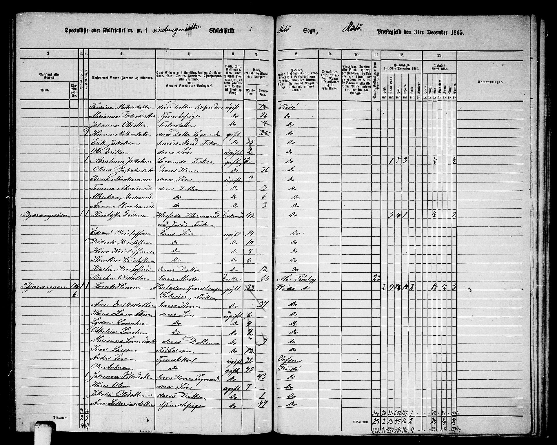 RA, 1865 census for Rødøy, 1865, p. 117