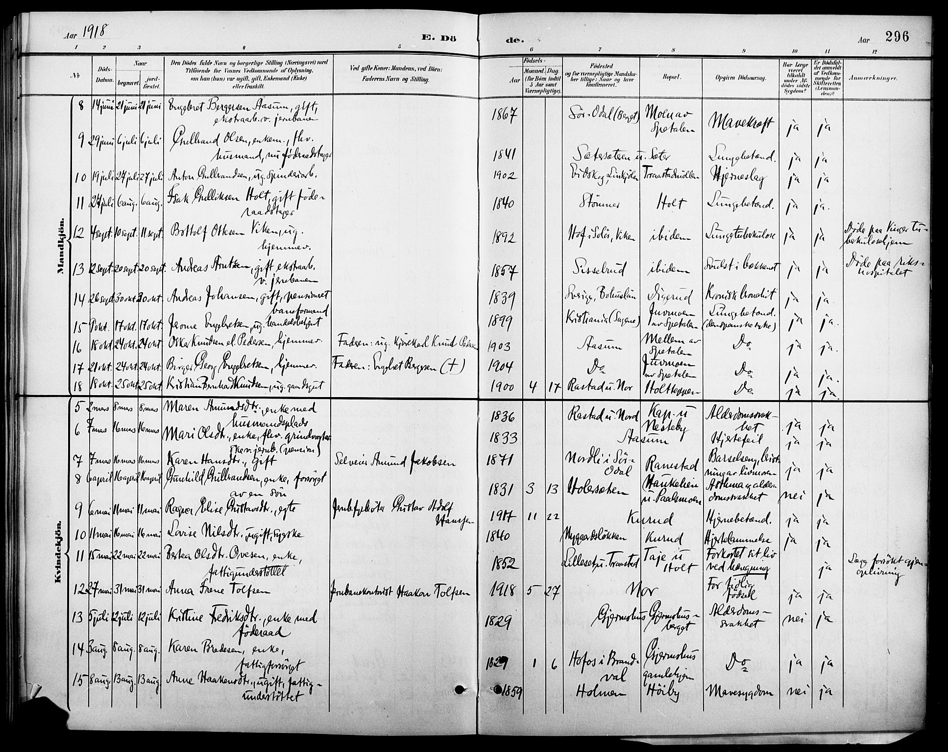 Vinger prestekontor, AV/SAH-PREST-024/H/Ha/Hab/L0003: Parish register (copy) no. 3, 1895-1920, p. 296