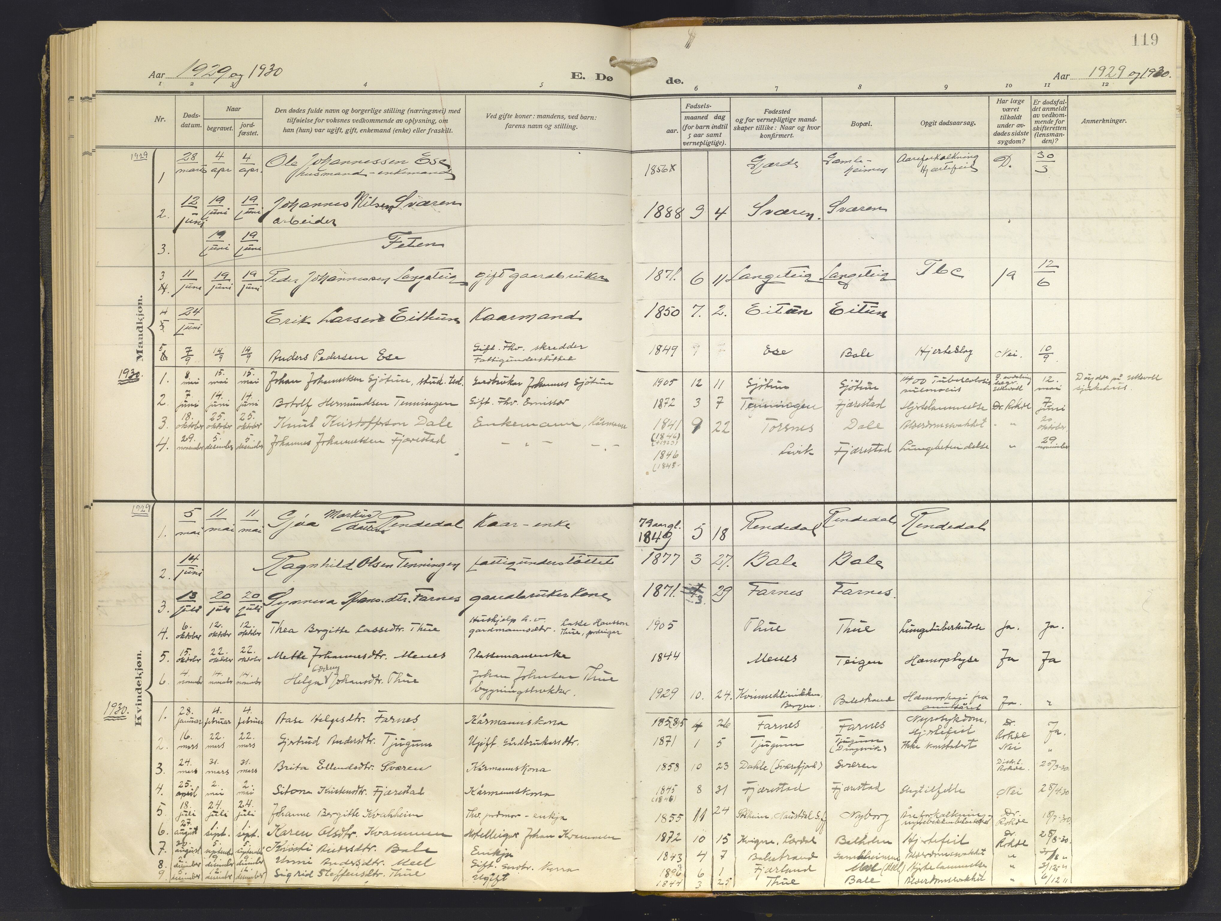 Balestrand sokneprestembete, AV/SAB-A-79601/H/Haa/Haab/L0002: Parish register (official) no. B 2, 1911-1932, p. 119