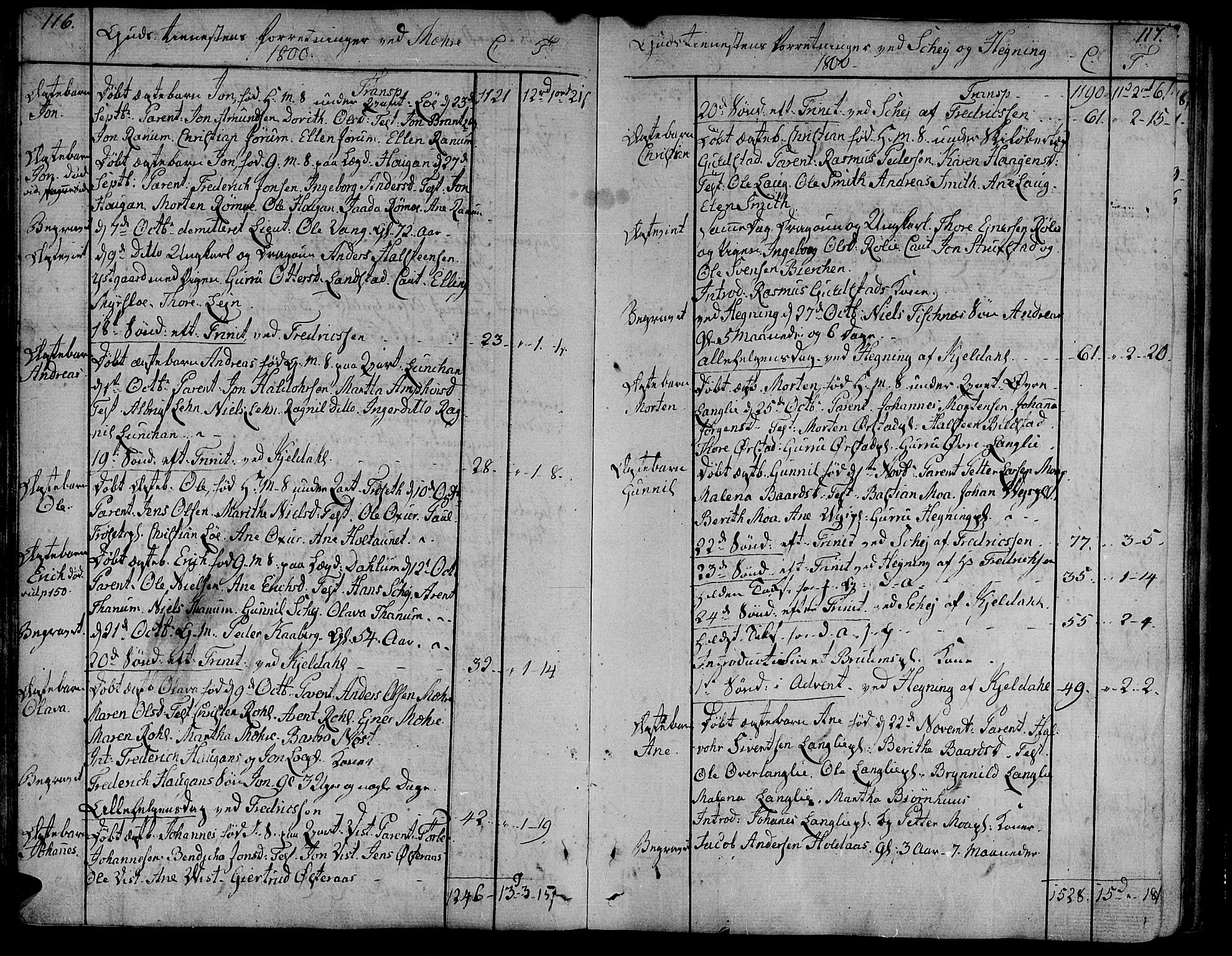 Ministerialprotokoller, klokkerbøker og fødselsregistre - Nord-Trøndelag, SAT/A-1458/735/L0332: Parish register (official) no. 735A03, 1795-1816, p. 116-117