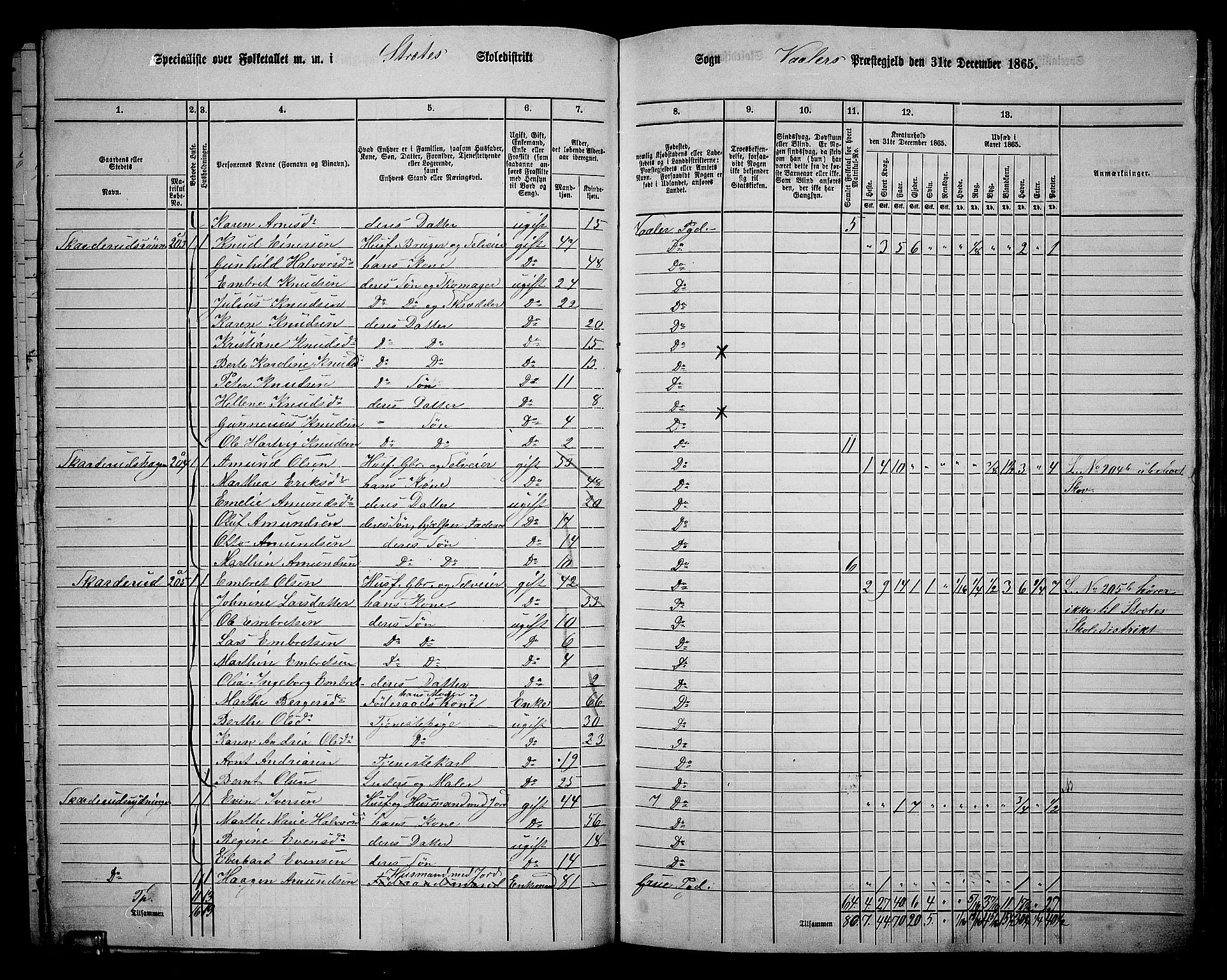 RA, 1865 census for Våler, 1865, p. 98