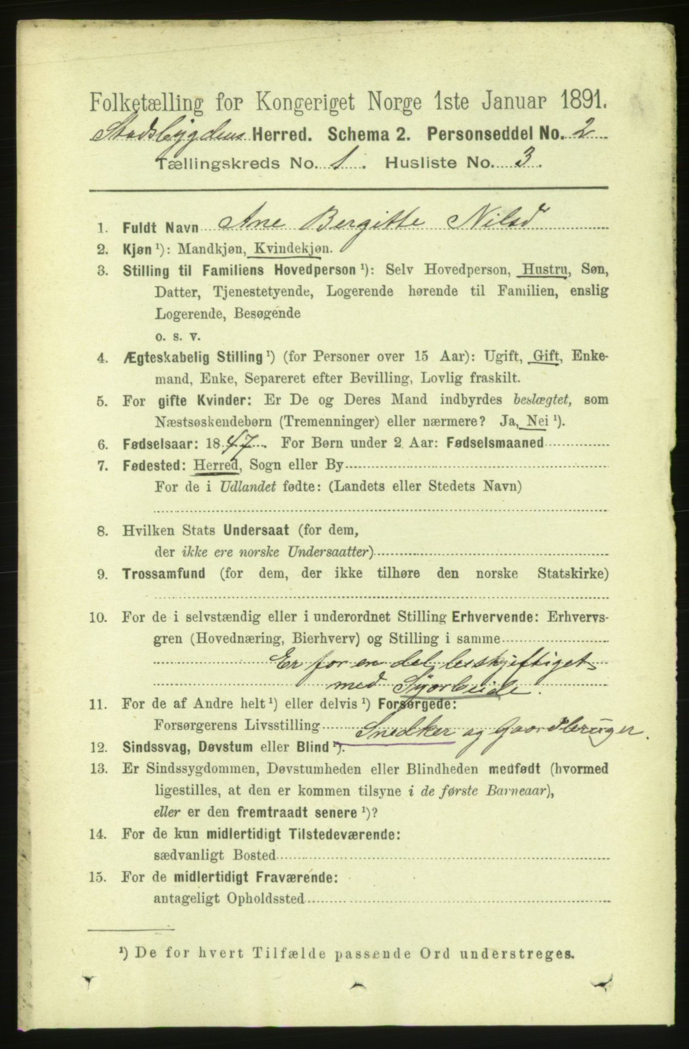 RA, 1891 census for 1625 Stadsbygd, 1891, p. 117