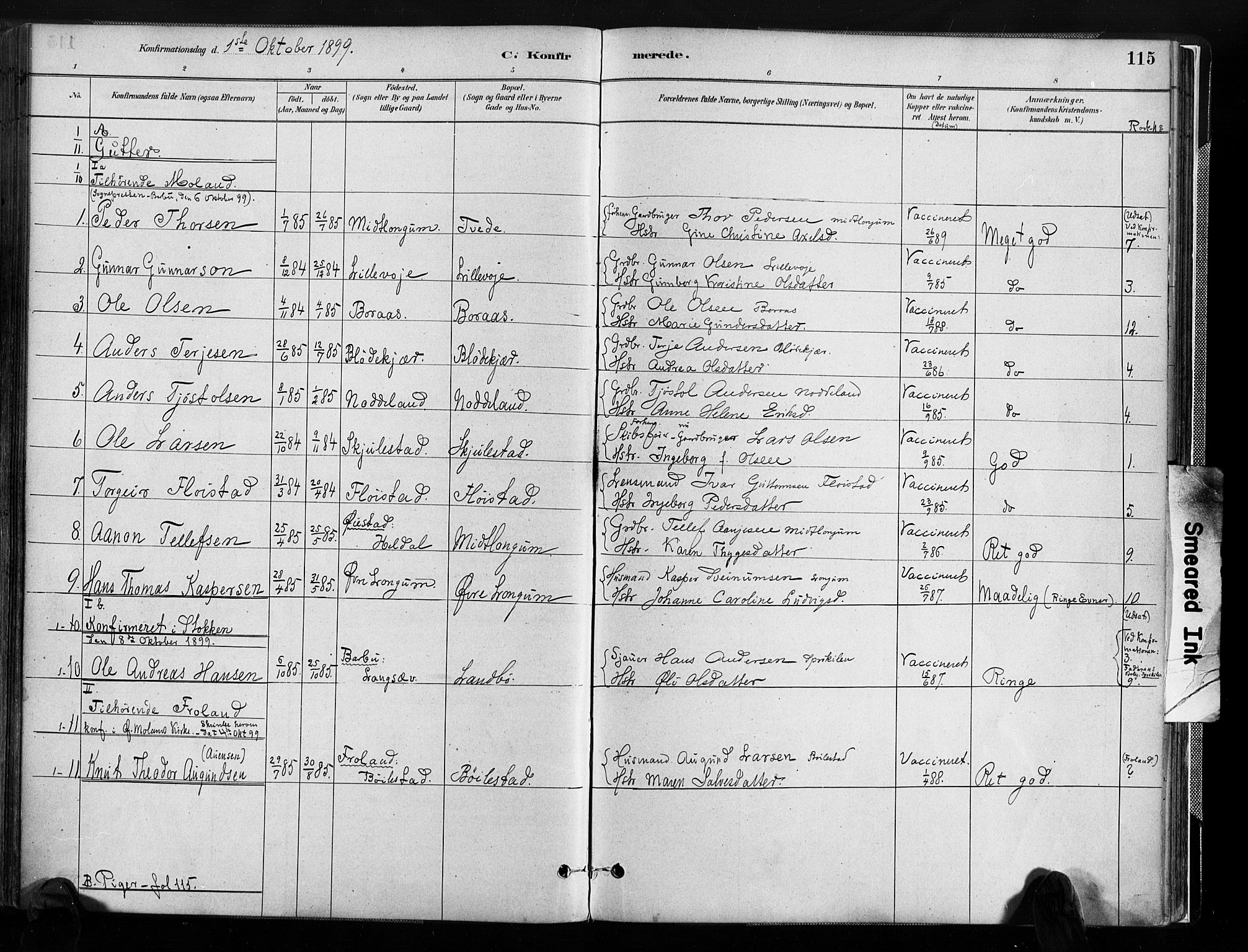 Austre Moland sokneprestkontor, SAK/1111-0001/F/Fa/Faa/L0010: Parish register (official) no. A 10, 1880-1904, p. 115