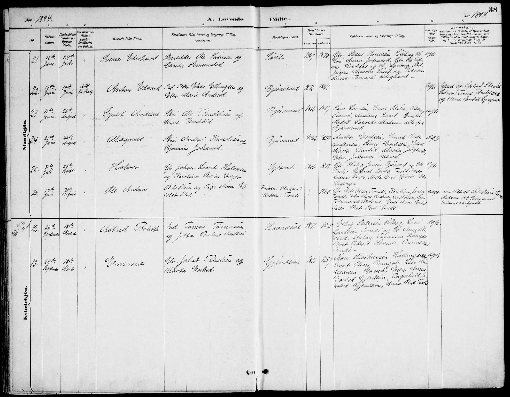 Ministerialprotokoller, klokkerbøker og fødselsregistre - Møre og Romsdal, AV/SAT-A-1454/565/L0750: Parish register (official) no. 565A04, 1887-1905, p. 38