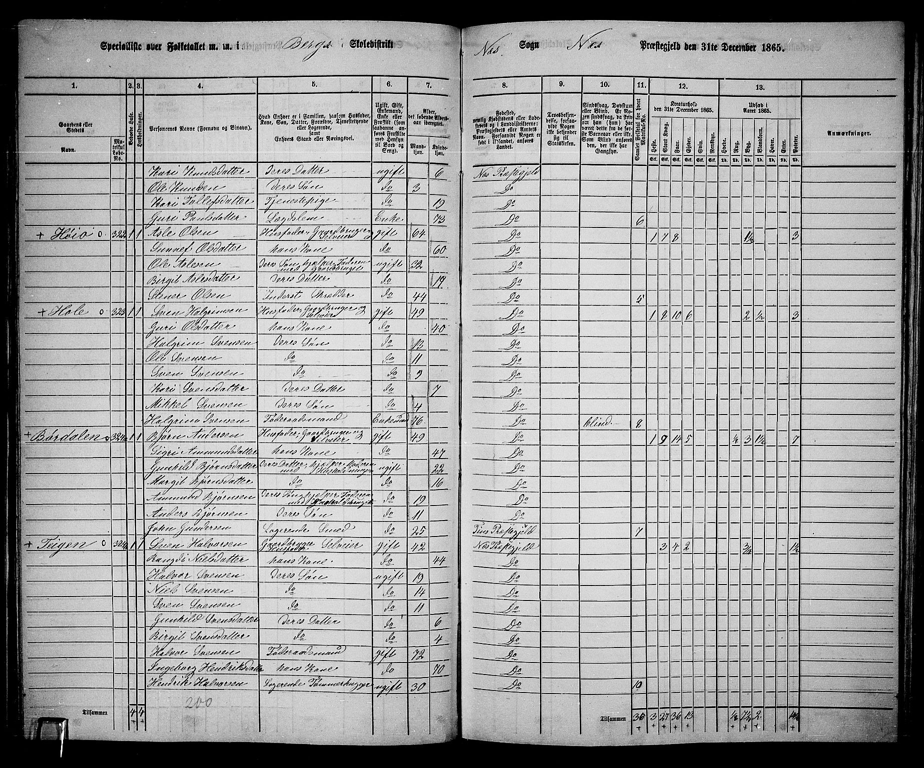 RA, 1865 census for Nes, 1865, p. 97