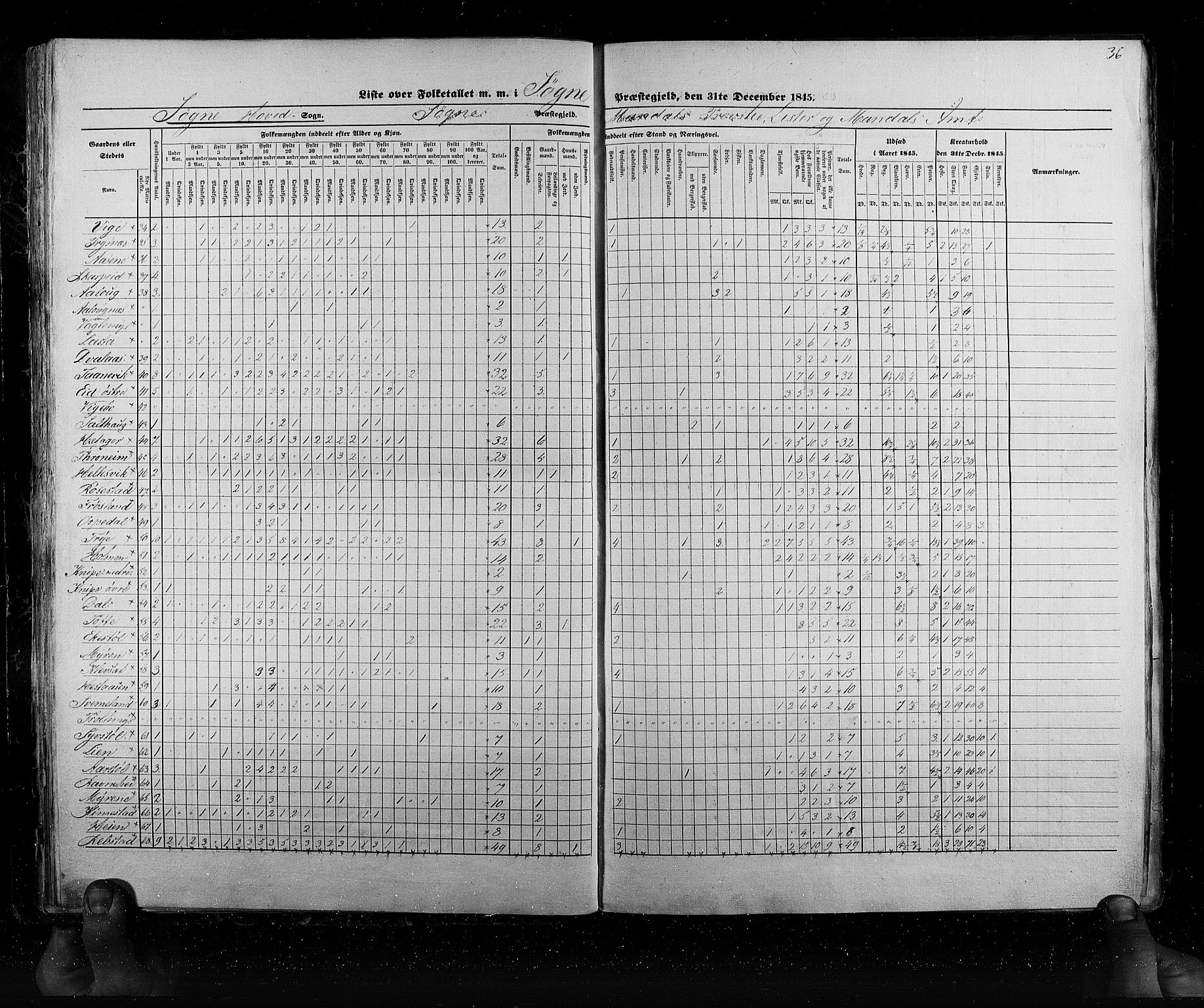 RA, Census 1845, vol. 6: Lister og Mandal amt og Stavanger amt, 1845, p. 36