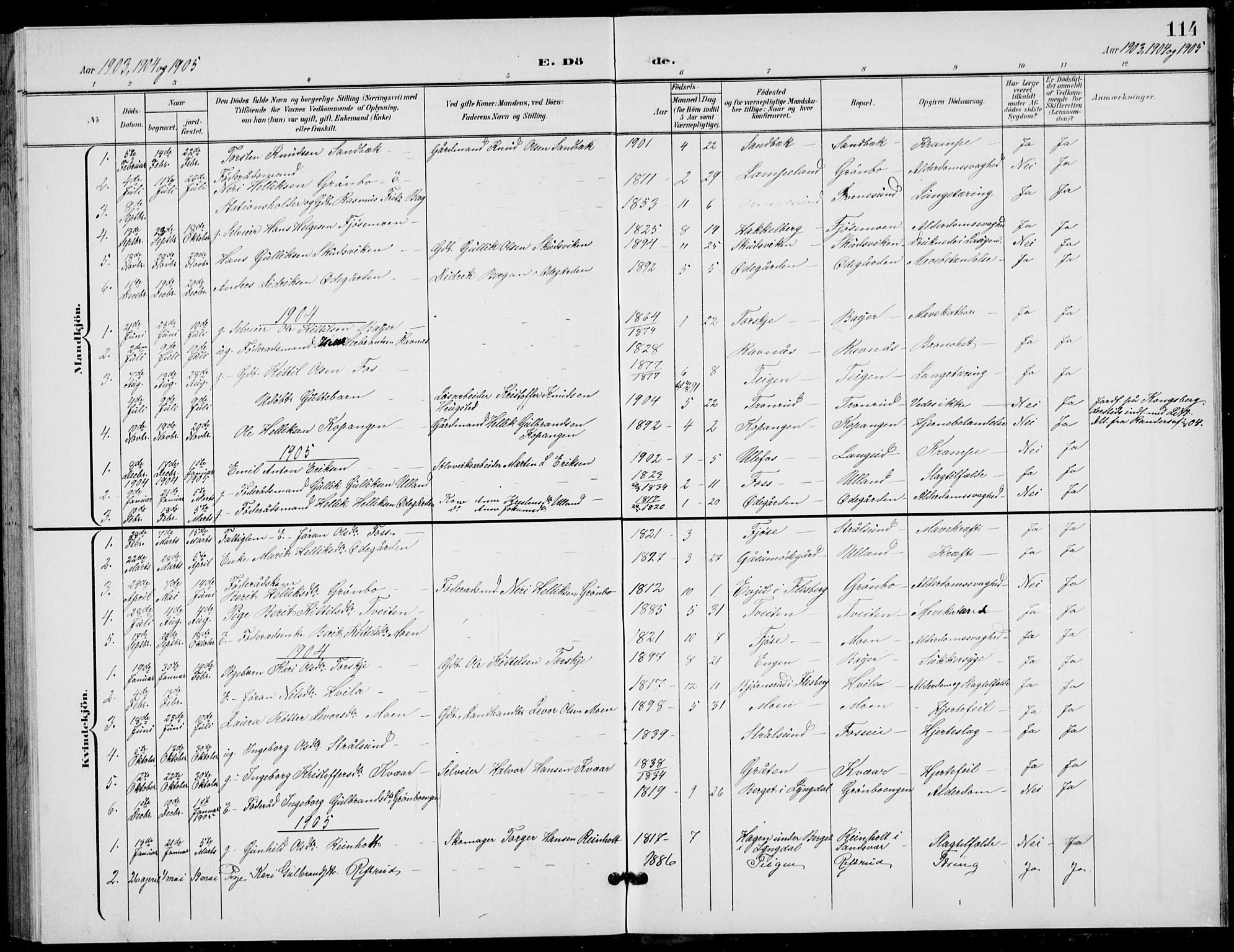 Flesberg kirkebøker, AV/SAKO-A-18/G/Ga/L0005: Parish register (copy) no. I 5, 1899-1908, p. 114