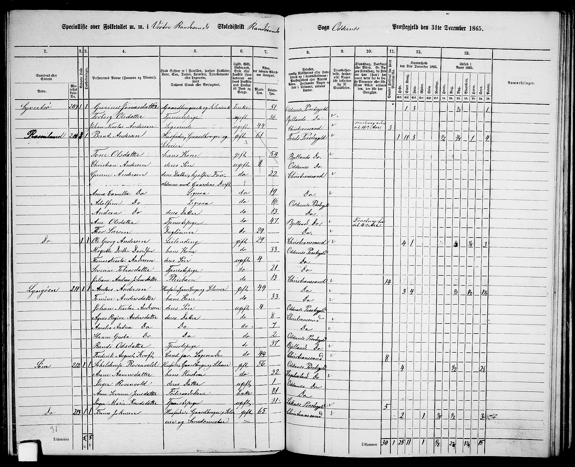 RA, 1865 census for Oddernes, 1865, p. 116