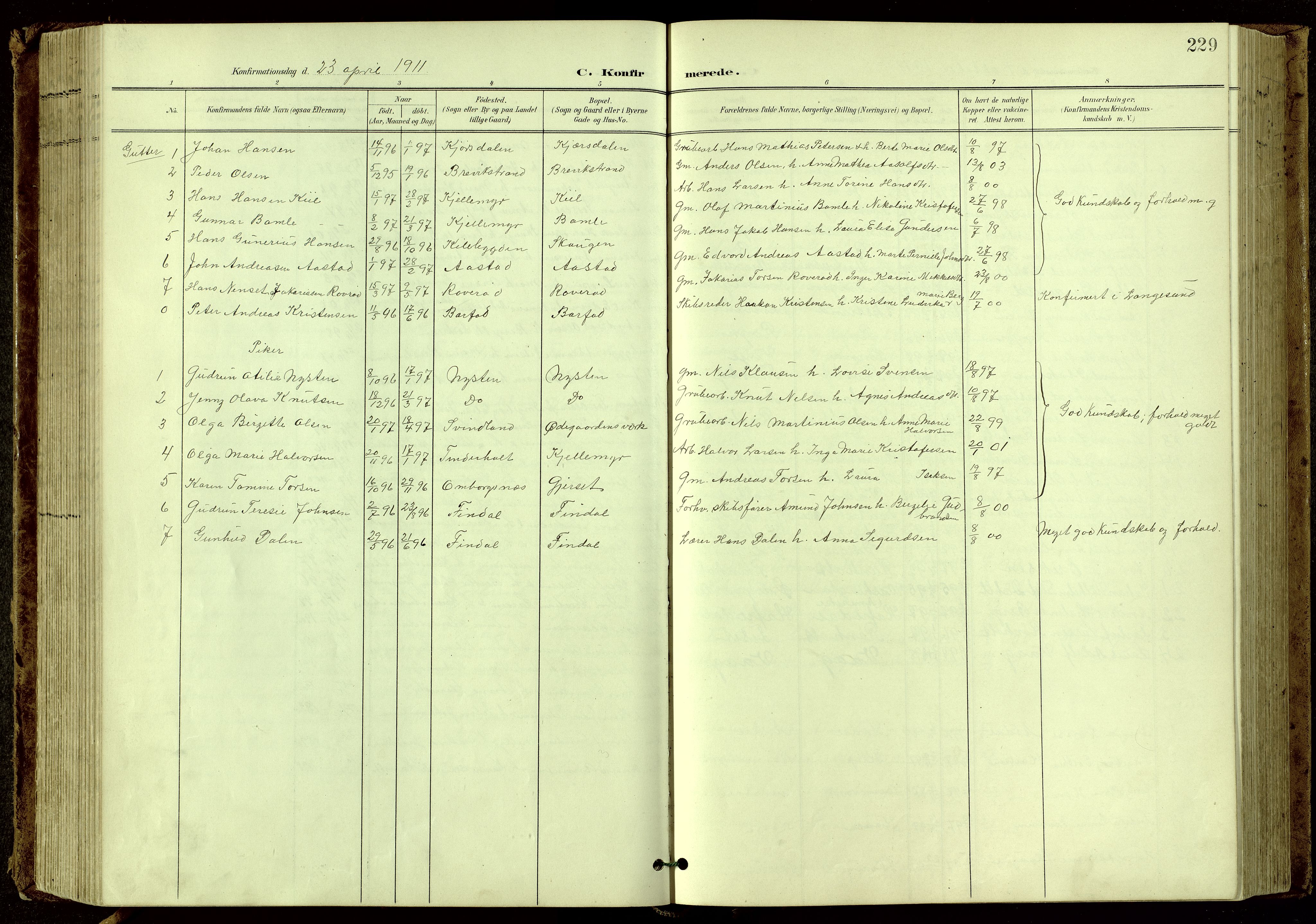 Bamble kirkebøker, SAKO/A-253/G/Ga/L0010: Parish register (copy) no. I 10, 1901-1919, p. 229