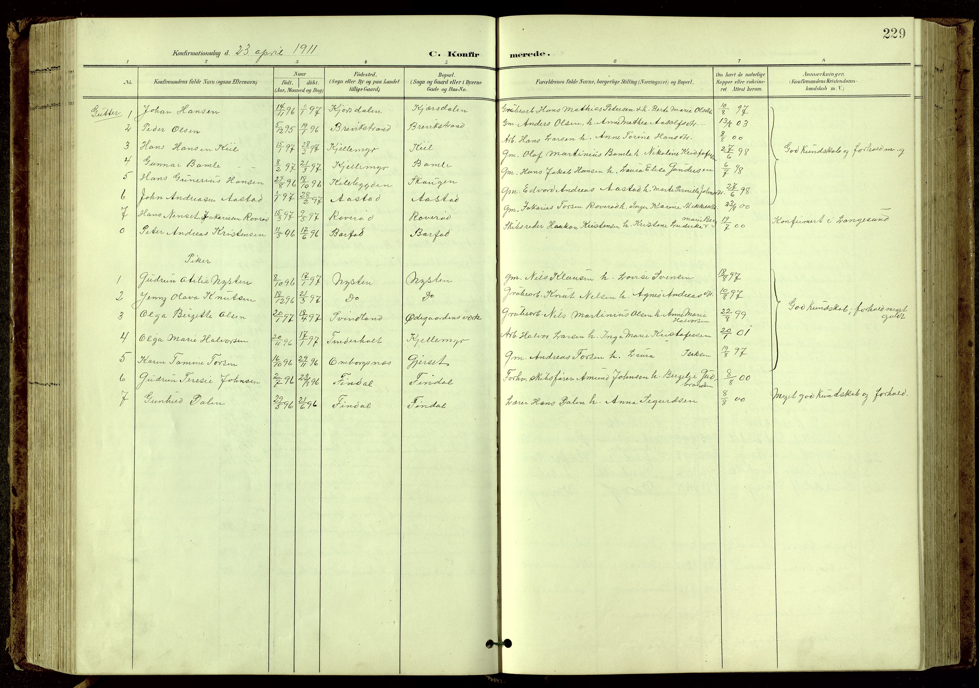 Bamble kirkebøker, AV/SAKO-A-253/G/Ga/L0010: Parish register (copy) no. I 10, 1901-1919, p. 229