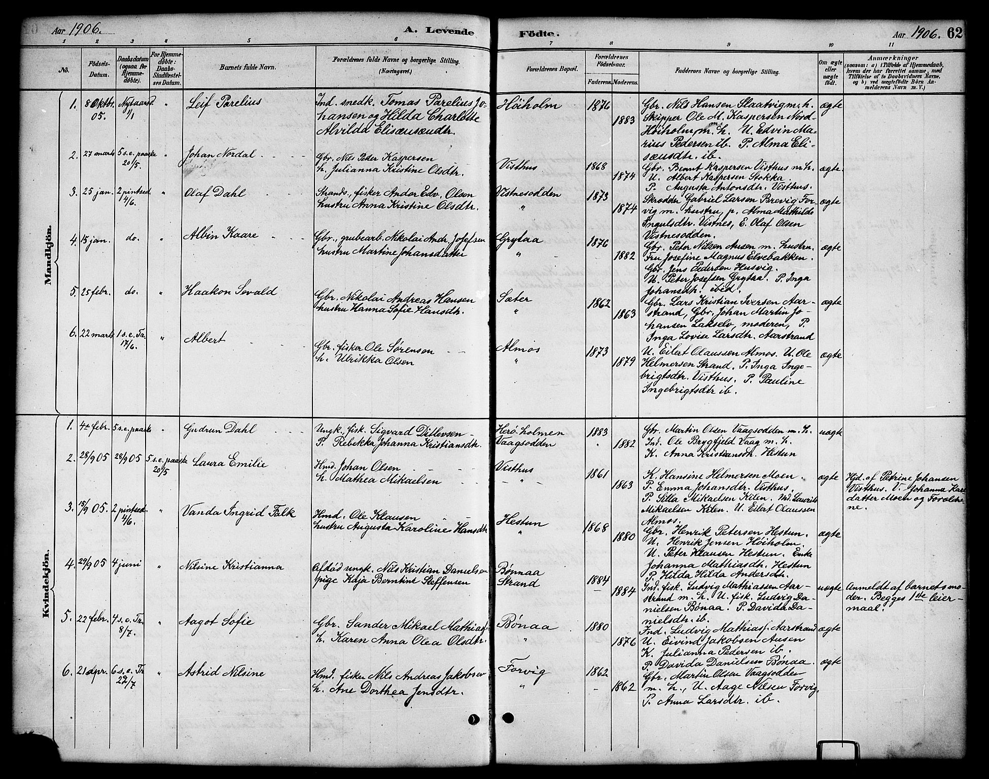 Ministerialprotokoller, klokkerbøker og fødselsregistre - Nordland, AV/SAT-A-1459/819/L0277: Parish register (copy) no. 819C03, 1888-1917, p. 62