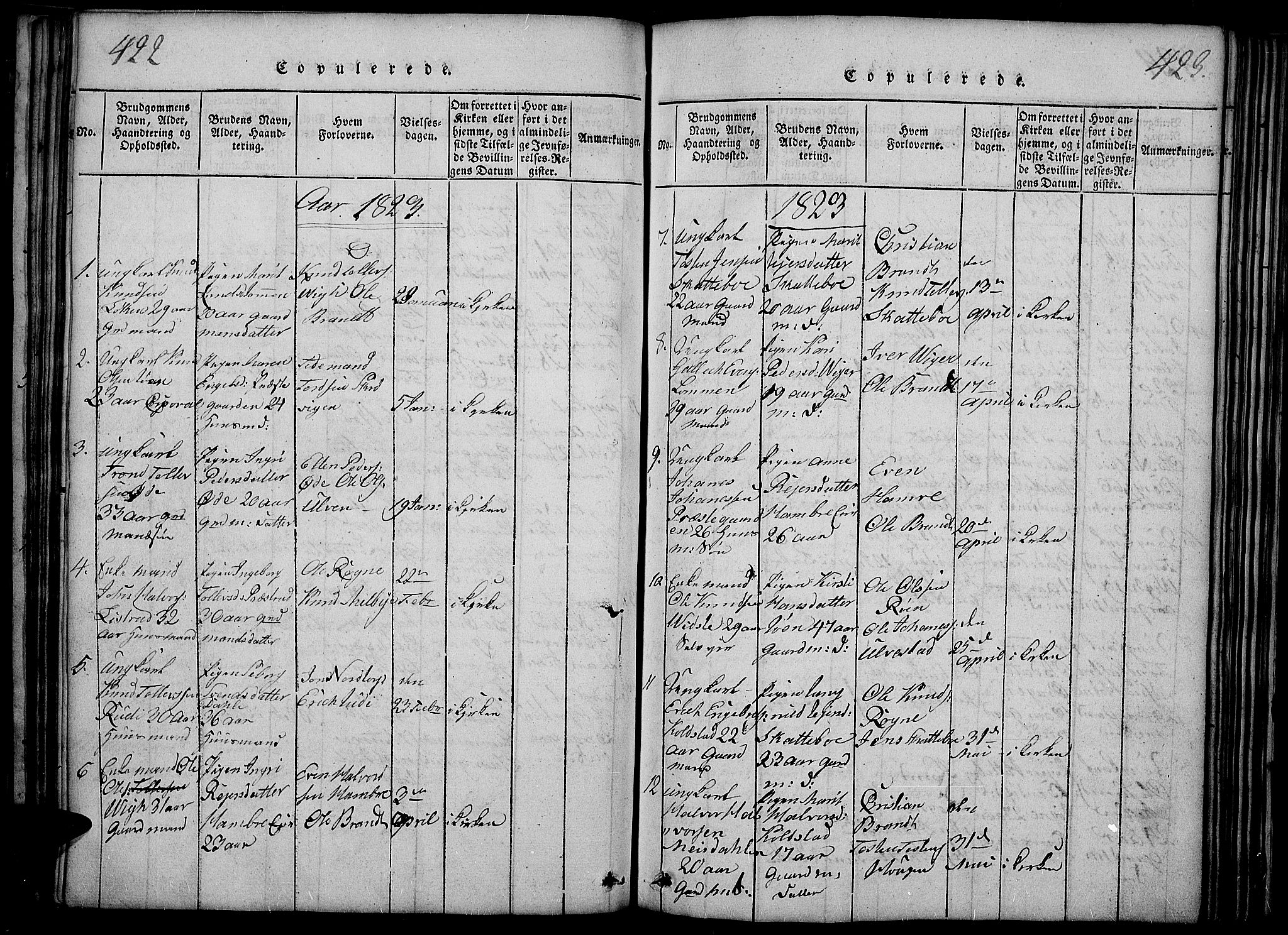 Slidre prestekontor, SAH/PREST-134/H/Ha/Haa/L0002: Parish register (official) no. 2, 1814-1830, p. 422-423