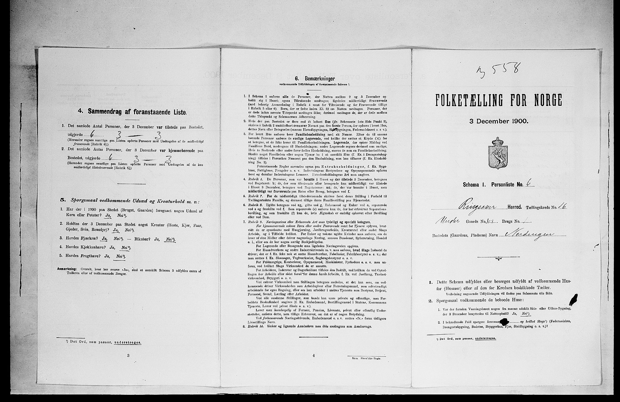 SAH, 1900 census for Ringsaker, 1900, p. 2964