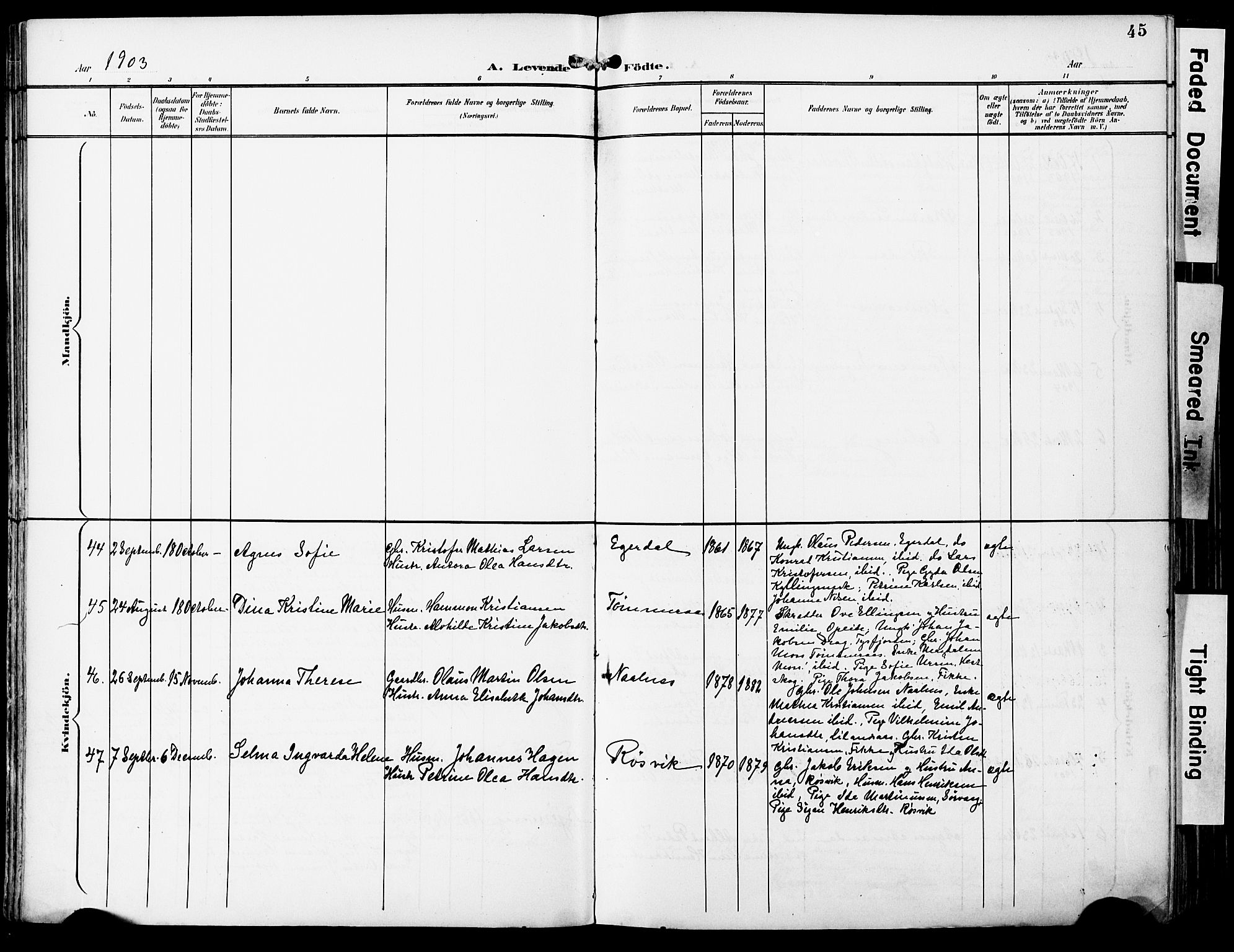 Ministerialprotokoller, klokkerbøker og fødselsregistre - Nordland, AV/SAT-A-1459/859/L0848: Parish register (official) no. 859A08, 1900-1912, p. 45