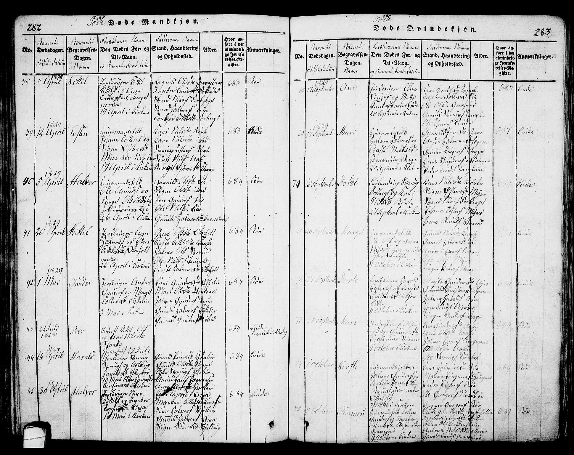 Bø kirkebøker, SAKO/A-257/G/Ga/L0001: Parish register (copy) no. 1, 1815-1831, p. 282-283