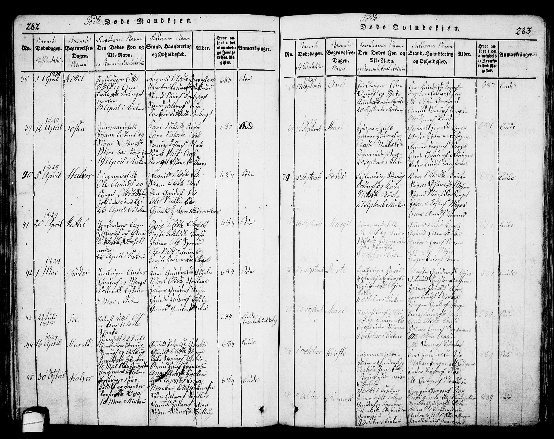 Bø kirkebøker, AV/SAKO-A-257/G/Ga/L0001: Parish register (copy) no. 1, 1815-1831, p. 282-283