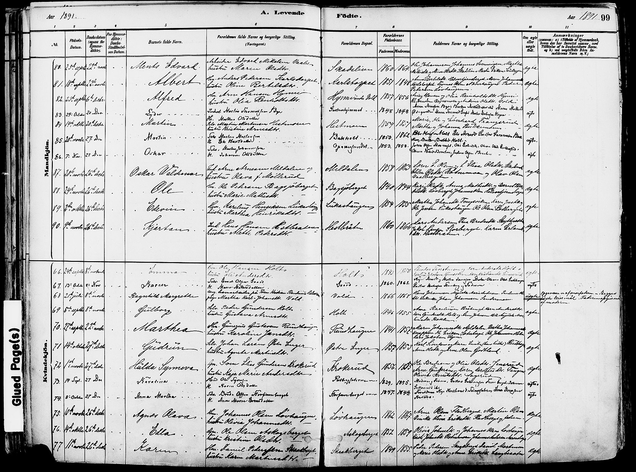 Grue prestekontor, AV/SAH-PREST-036/H/Ha/Haa/L0012: Parish register (official) no. 12, 1881-1897, p. 99