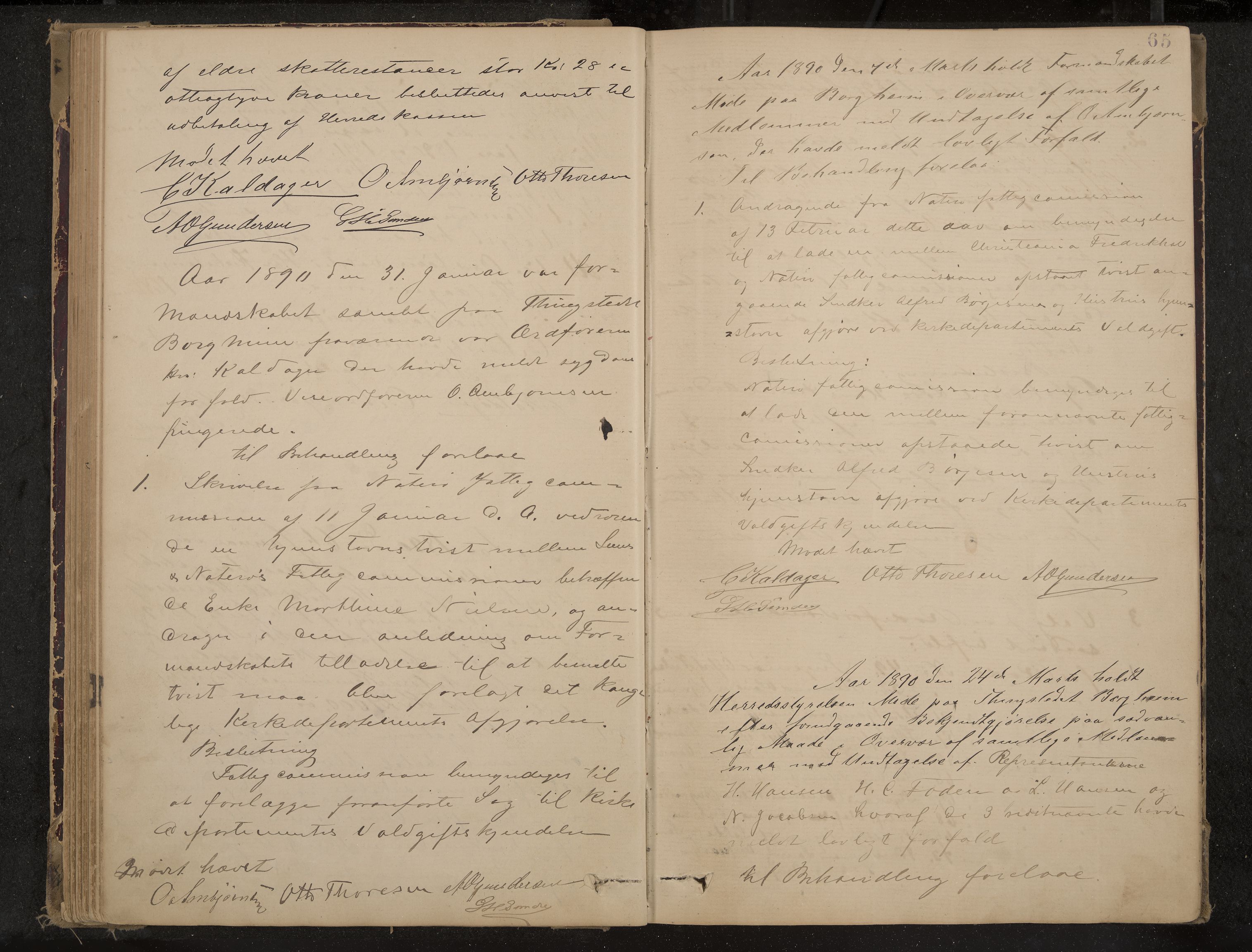 Nøtterøy formannskap og sentraladministrasjon, IKAK/0722021-1/A/Aa/L0004: Møtebok, 1887-1896, p. 65