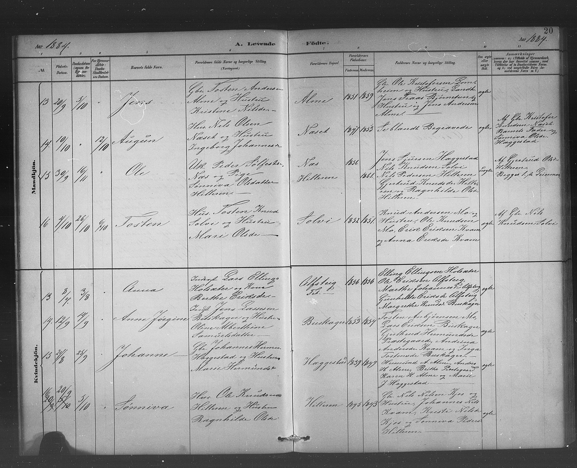 Hafslo sokneprestembete, AV/SAB-A-80301/H/Hab/Habb/L0001: Parish register (copy) no. B 1, 1882-1908, p. 20