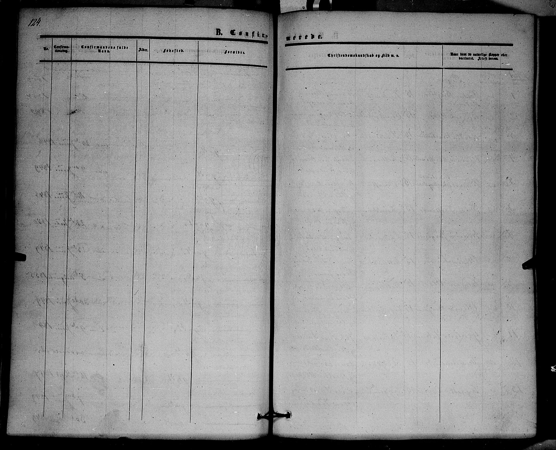 Hof prestekontor, SAH/PREST-038/H/Ha/Haa/L0008: Parish register (official) no. 8, 1849-1861, p. 124