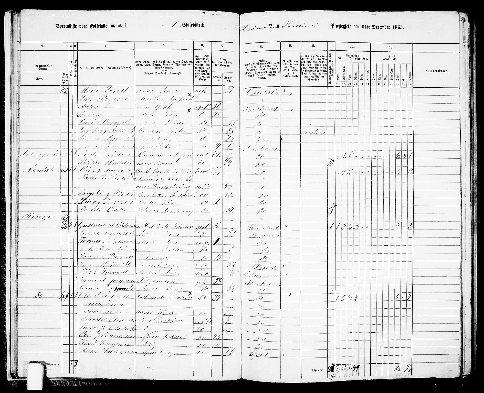 RA, 1865 census for Nedstrand, 1865, p. 21
