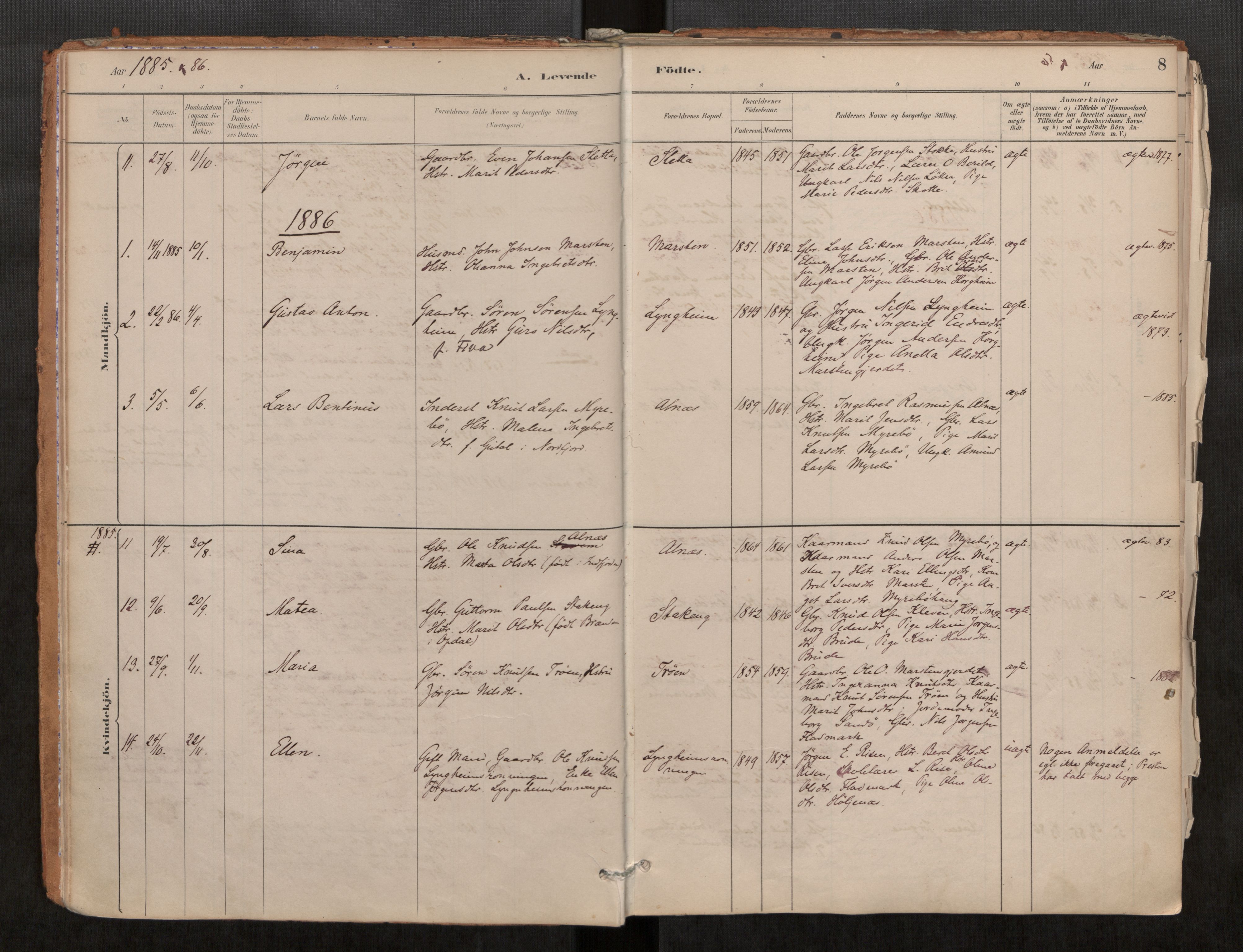 Ministerialprotokoller, klokkerbøker og fødselsregistre - Møre og Romsdal, SAT/A-1454/546/L0599: Parish register (official) no. 546A03, 1882-1920, p. 8